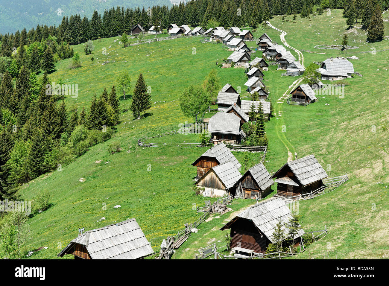 Planina Zajamniki on the Pokljuka Plateau Gorenjska Slovenia Summer grazing and farm houses Stock Photo