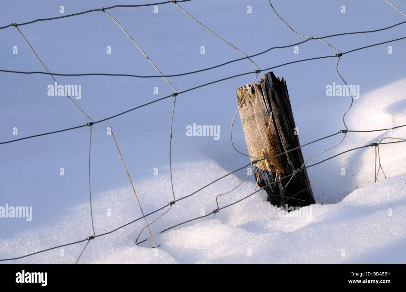 A wire fence in a melting snow covered field Stock Photo - Alamy