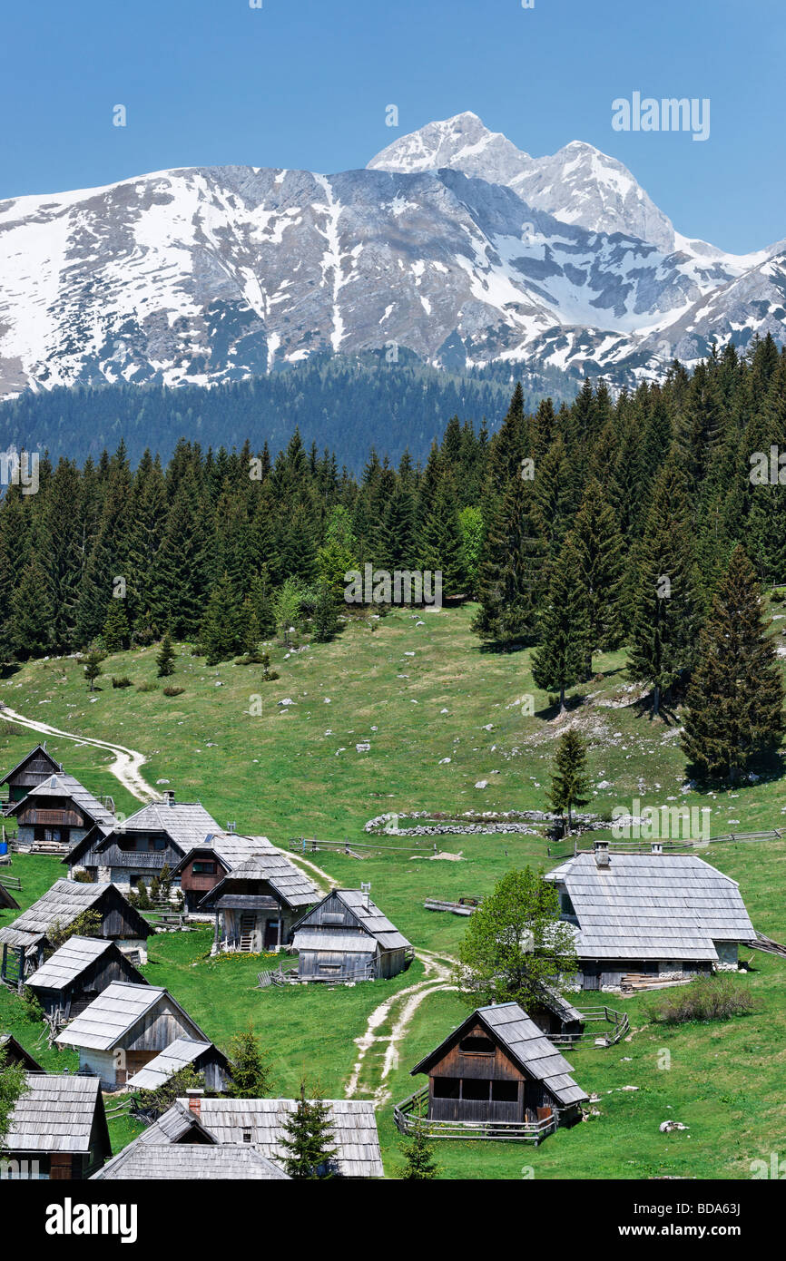 Planina Zajamniki on the Pokljuka Plateau, Gorenjska, Slovenia. Stock Photo