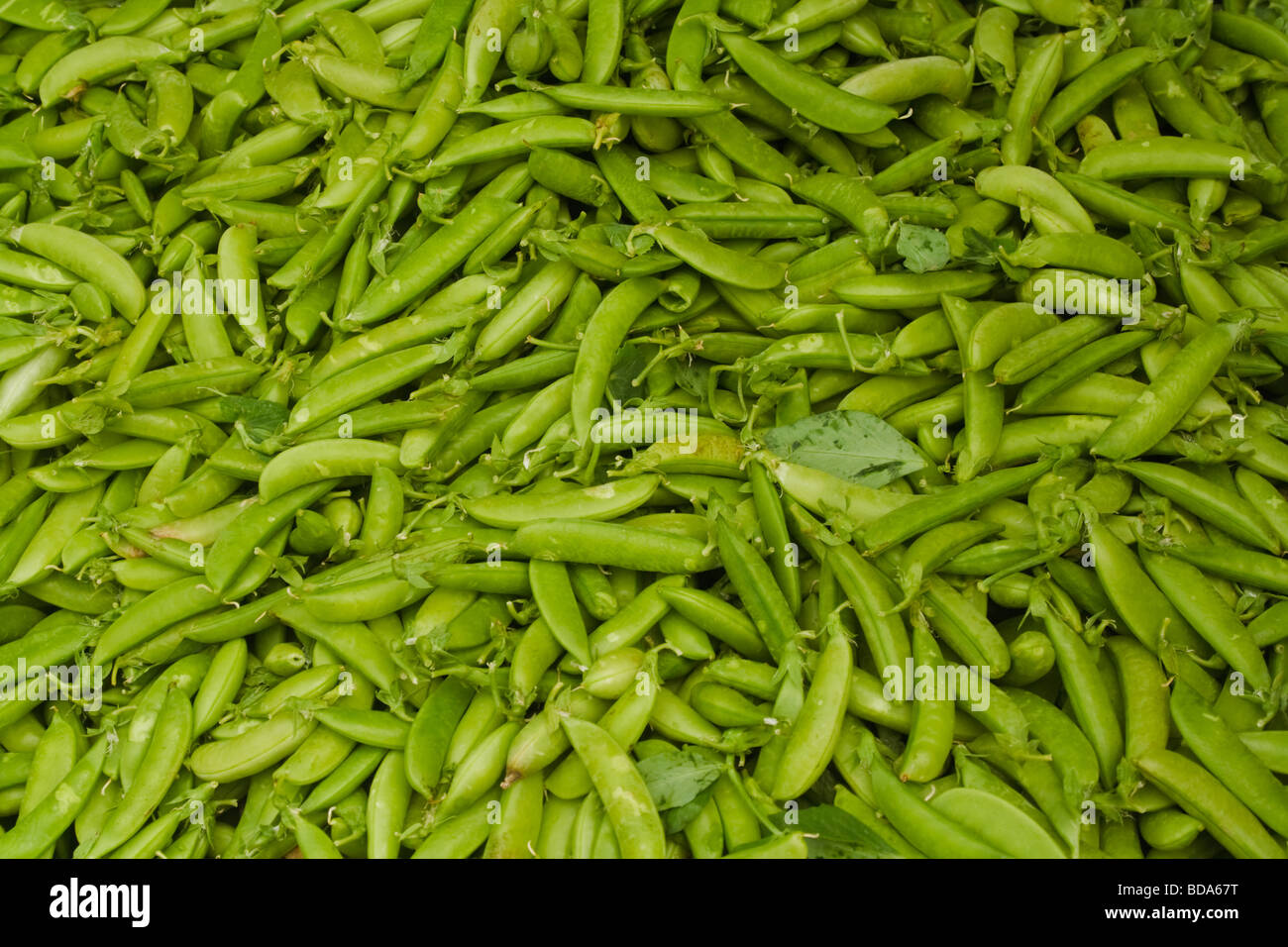 Healthy food green string beans hi-res stock photography and images - Alamy
