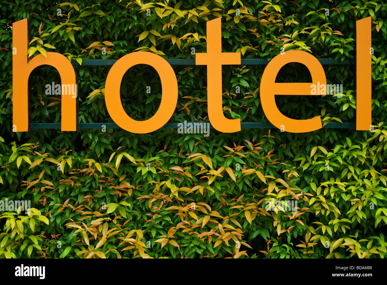 The word hotel in big orange letters in a green and yellow bush. Stock Photo