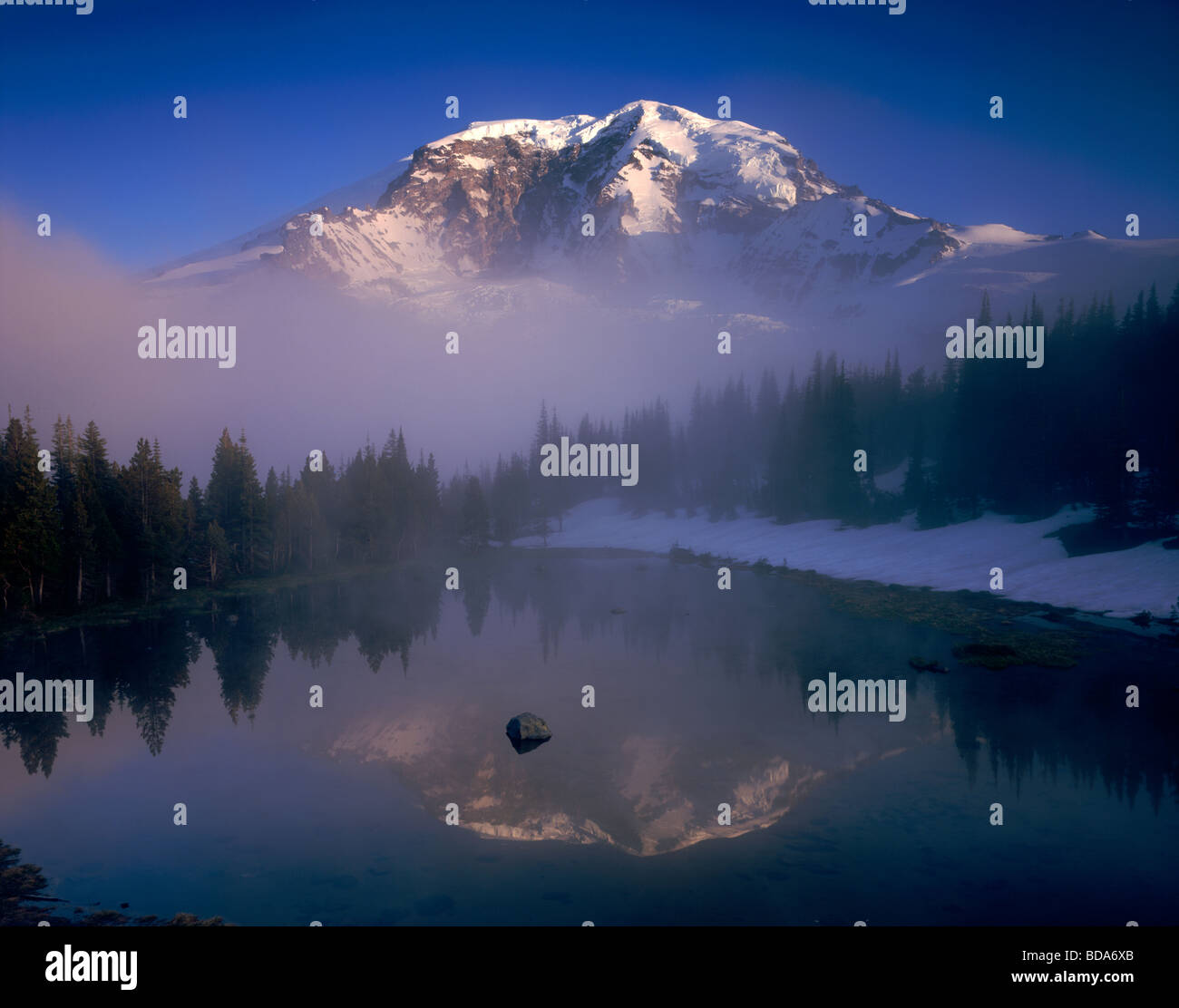 Ora willis hires stock photography and images Alamy