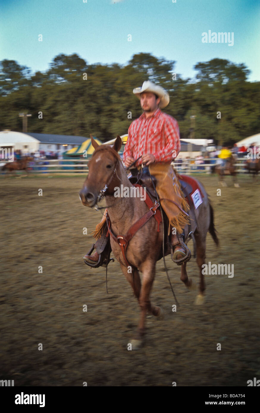 Cowboy rides horse in county fair rodeo event Stock Photo Alamy