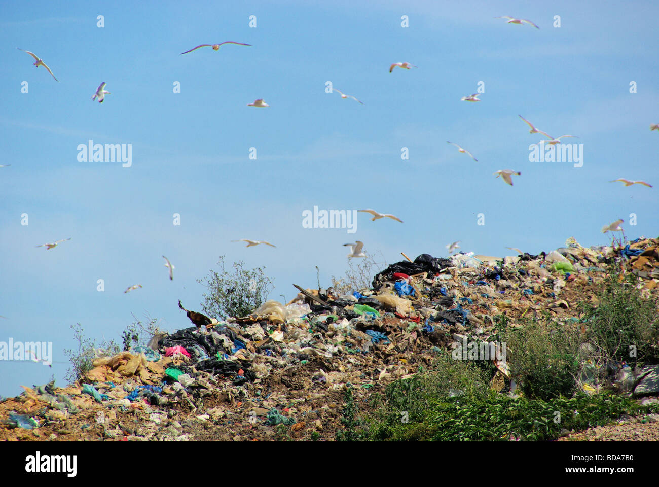 Müllkippe garbage dump 10 Stock Photo