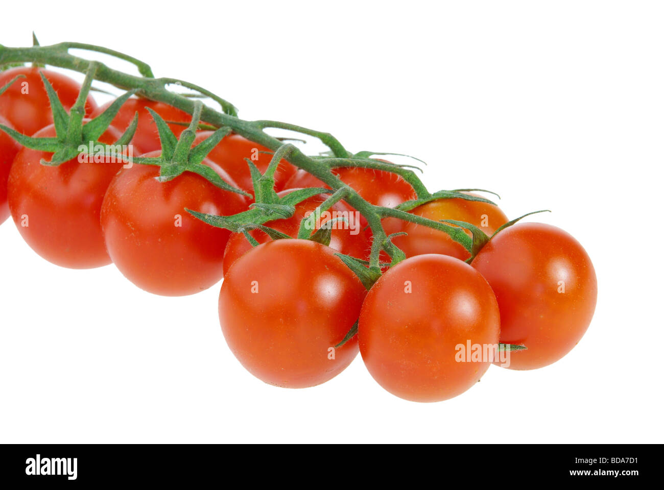 Tomate tomato 28 Stock Photo