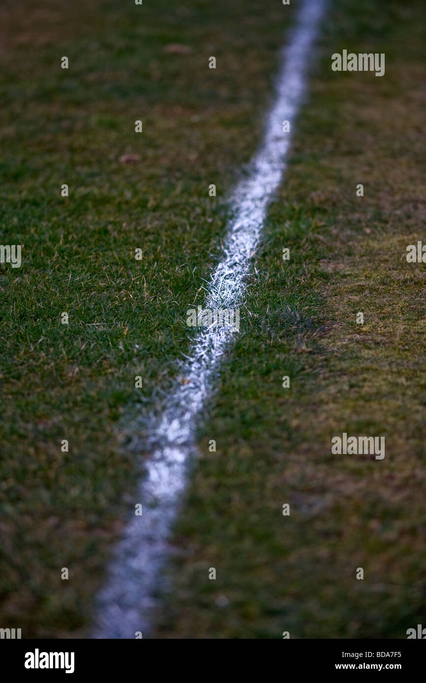 White line on a football pitch shallow depth of field Stock Photo Alamy