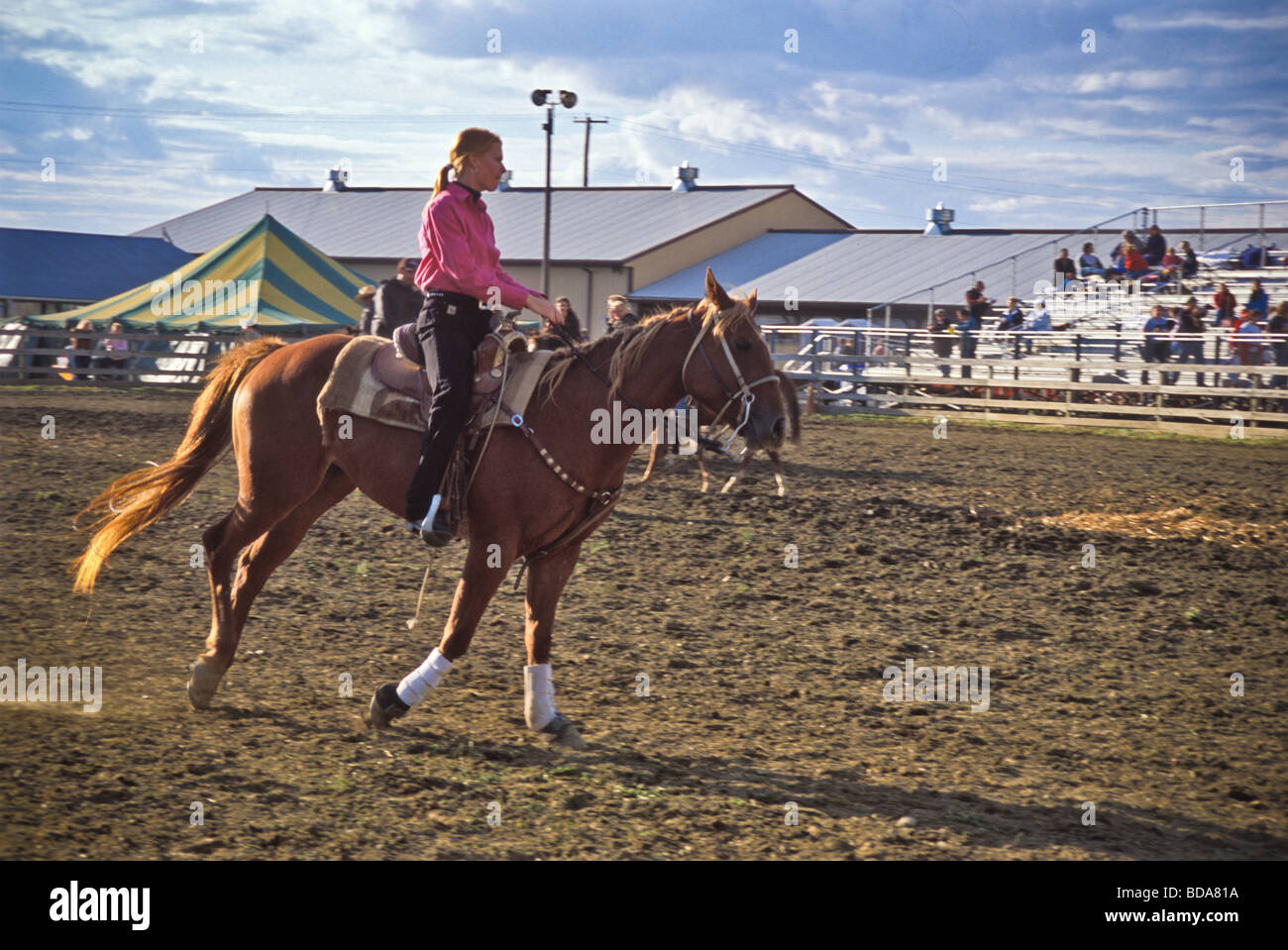 Young woman on horseback in judging arena of county fair Stock Photo