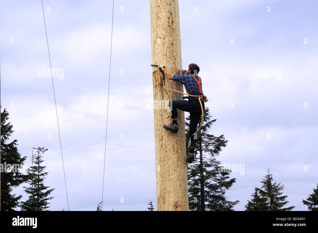 Lumberjack logging demonstration on Grouse Mountain in Vancouver in