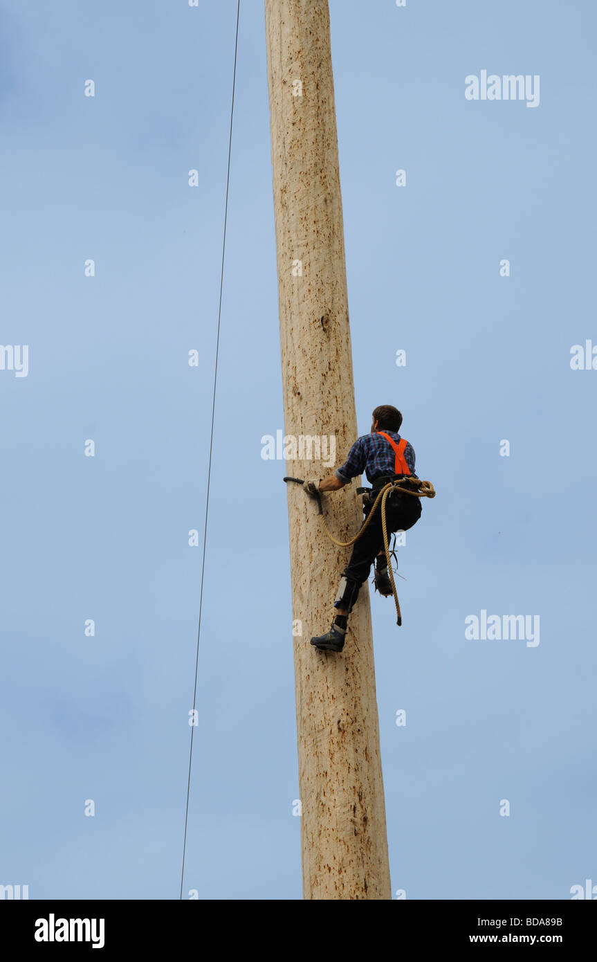 Lumberjack logging demonstration on Grouse Mountain in Vancouver in