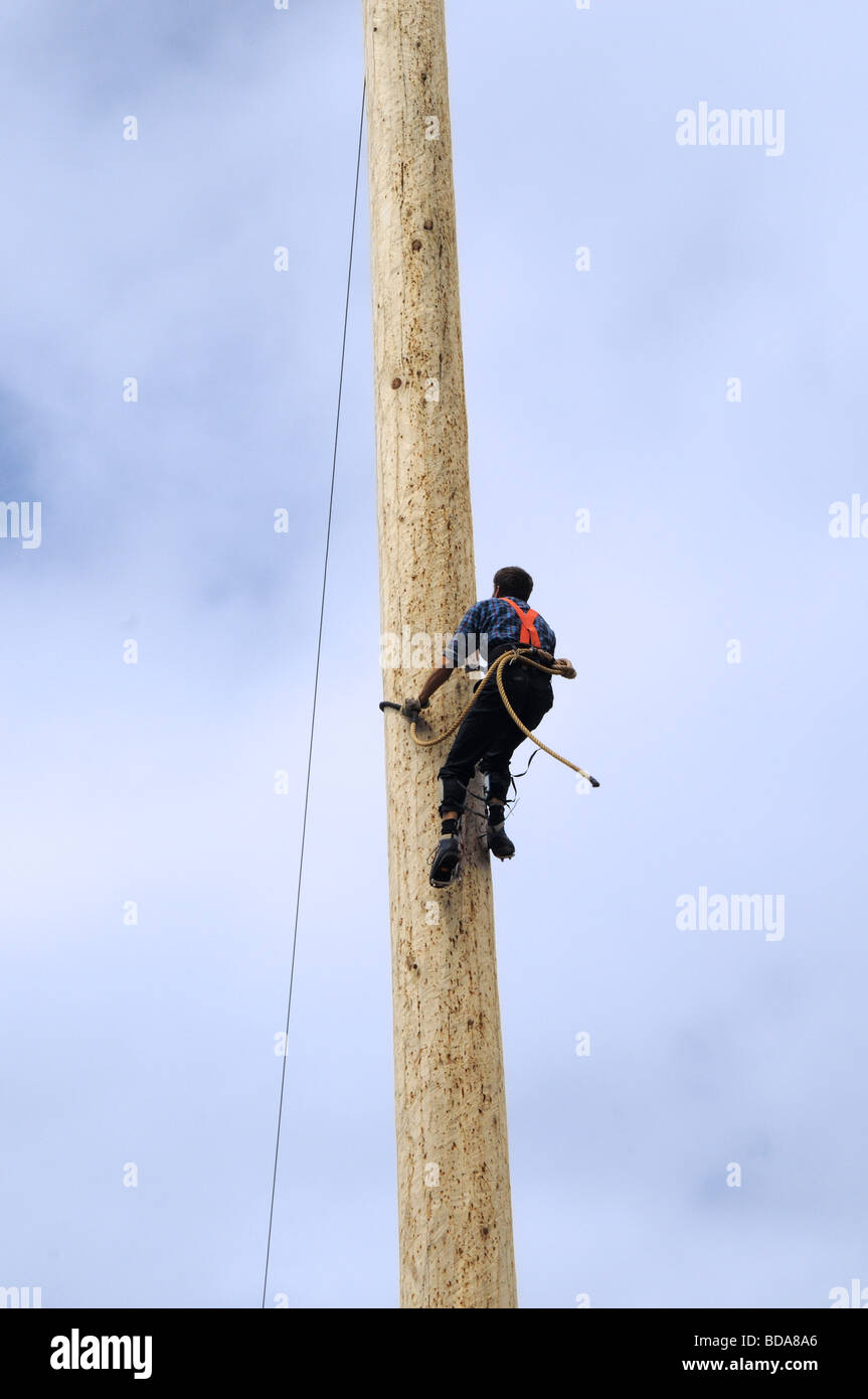 Lumberjack logging demonstration on Grouse Mountain in Vancouver in