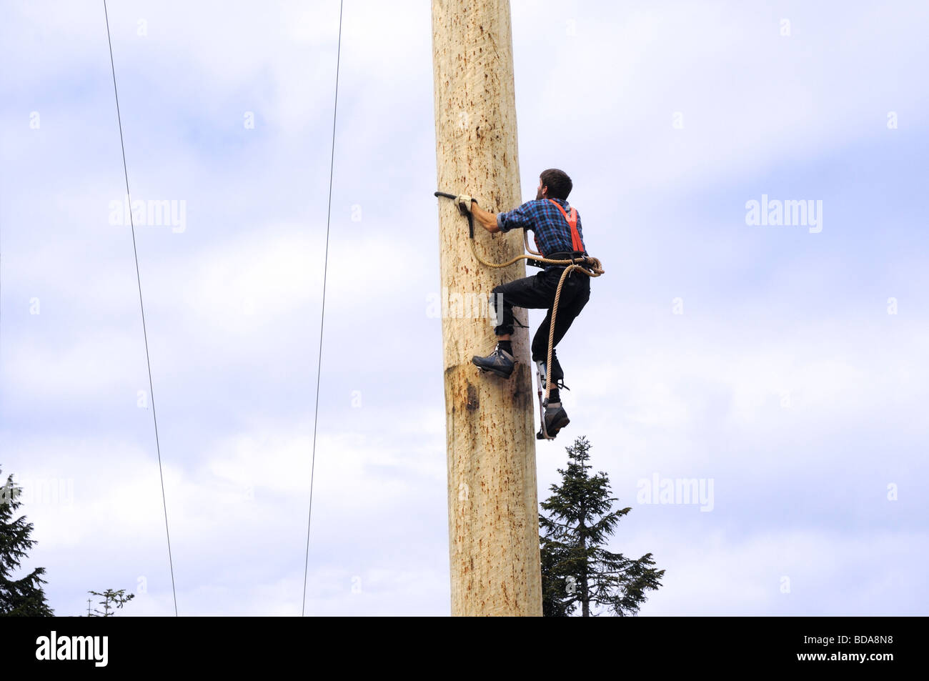 Lumberjack logging demonstration on Grouse Mountain in Vancouver in