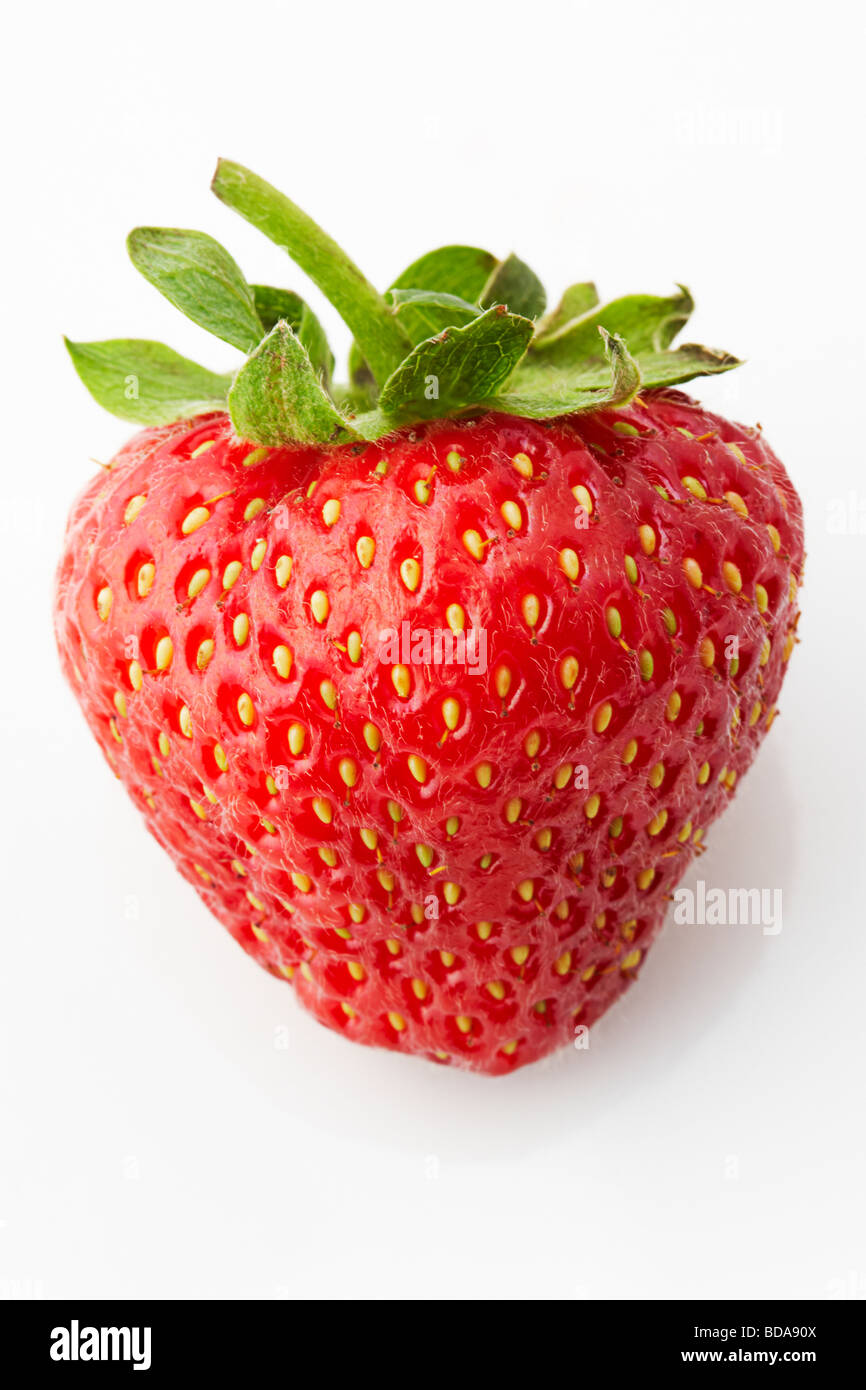 garden strawberry (fragaria) on white back ground Stock Photo