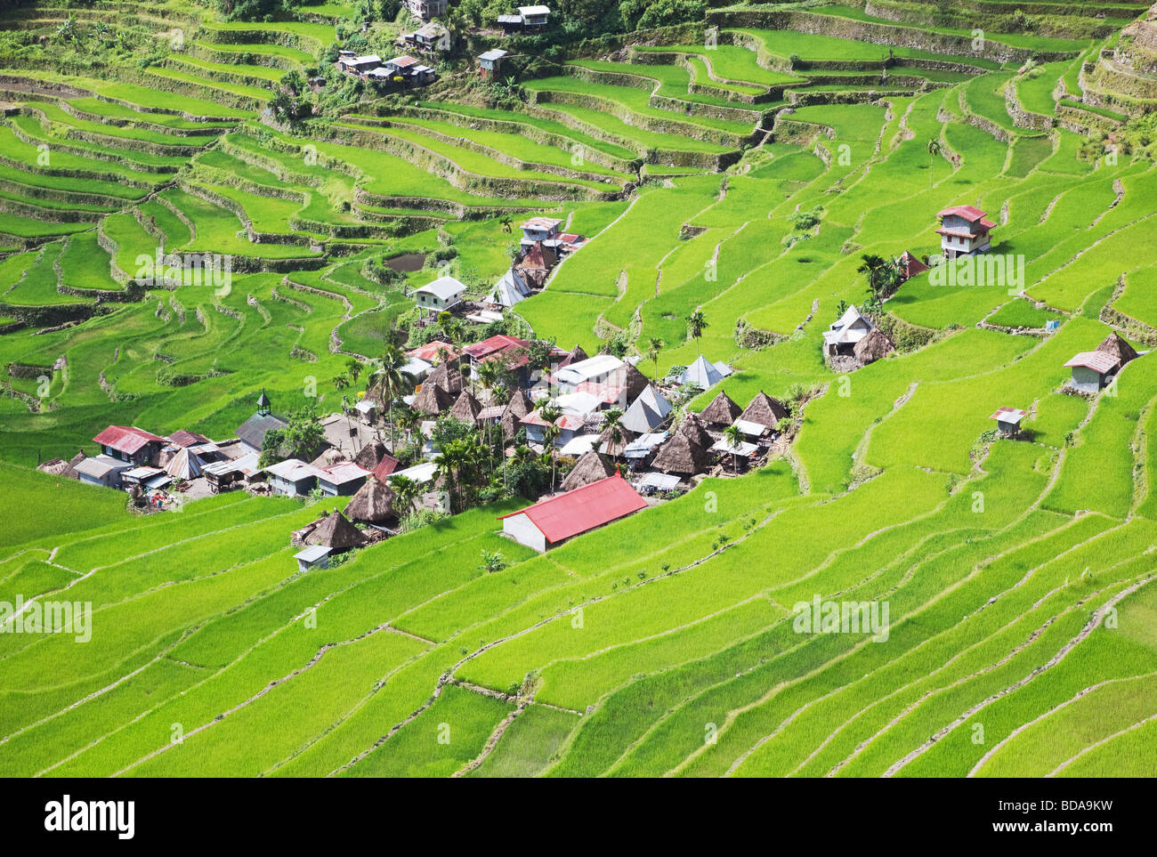 Rice terraces and Batad village Ifugao Province Northern Luzon Philippines Stock Photo