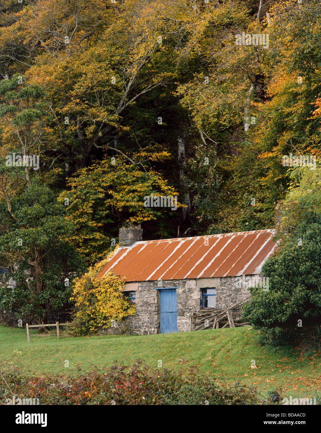 Old Byre beside deciduous woodland on Beinn Lora, Benderloch, Argyll, Scotland, UK. Stock Photo