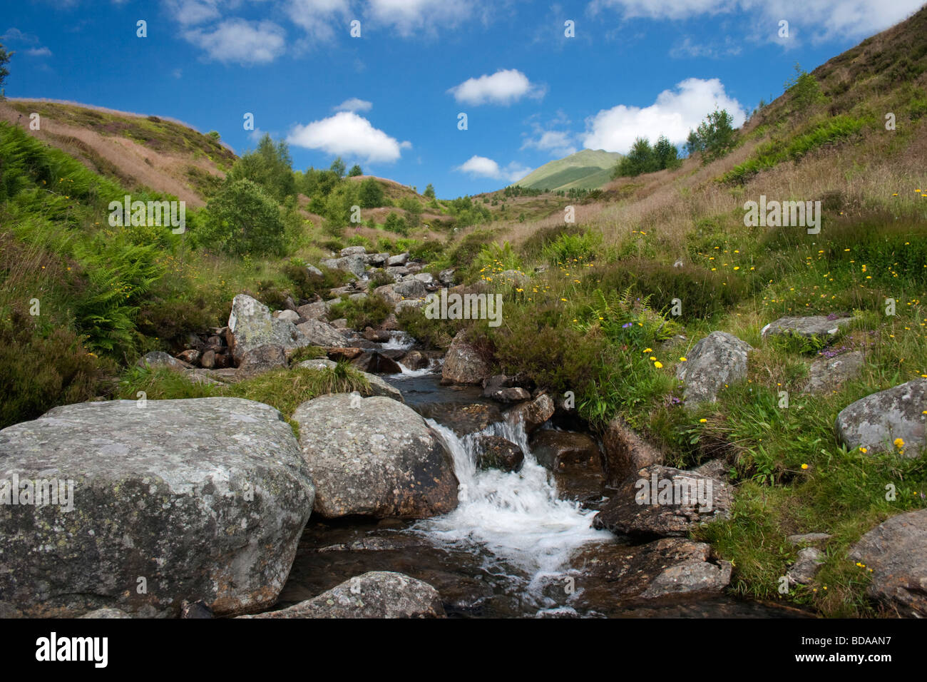 Ben Lawers National Nature Reserve Stock Photo