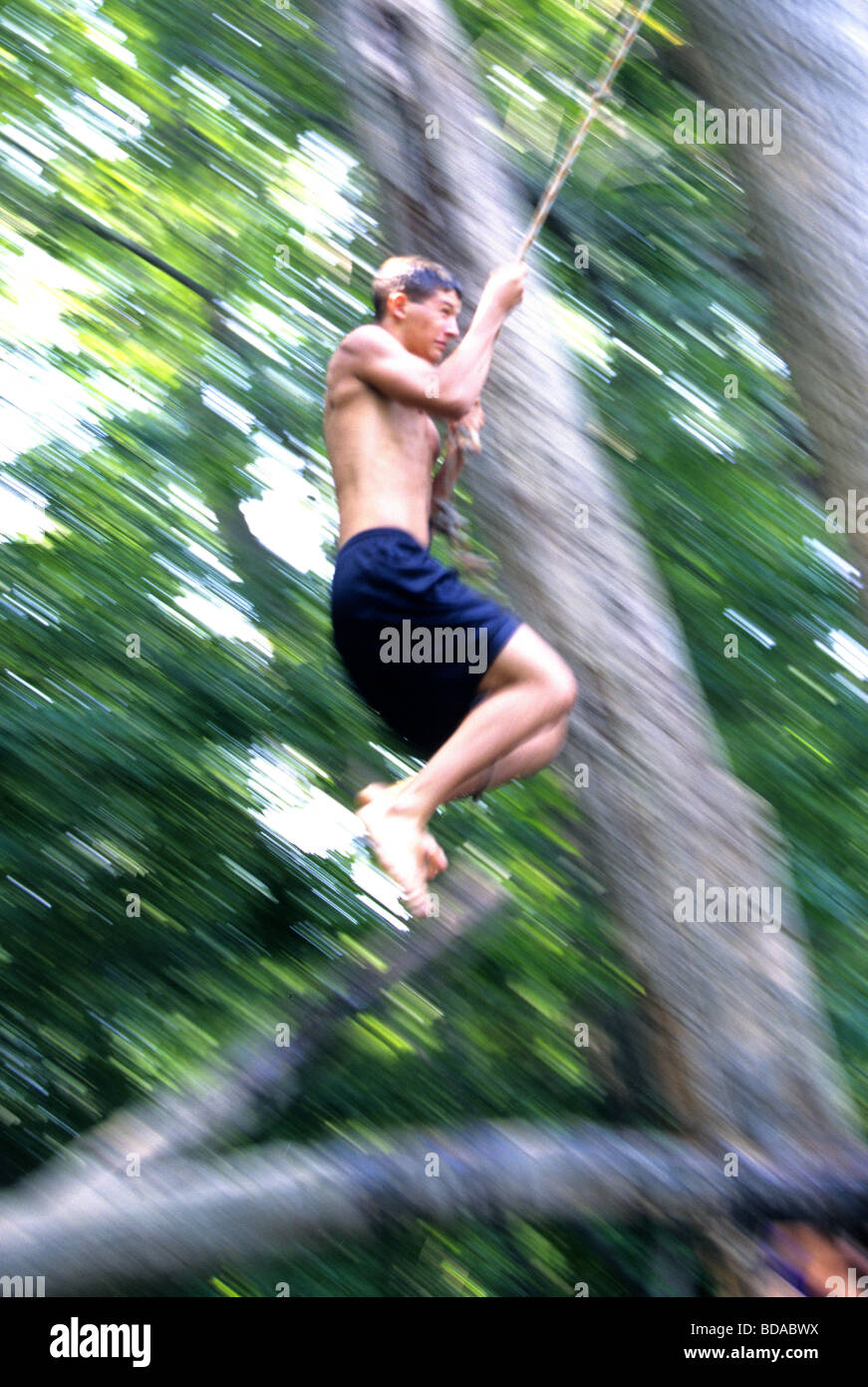 Teenage boy on rope swing Sebago Lakes, Maine Stock Photo Alamy