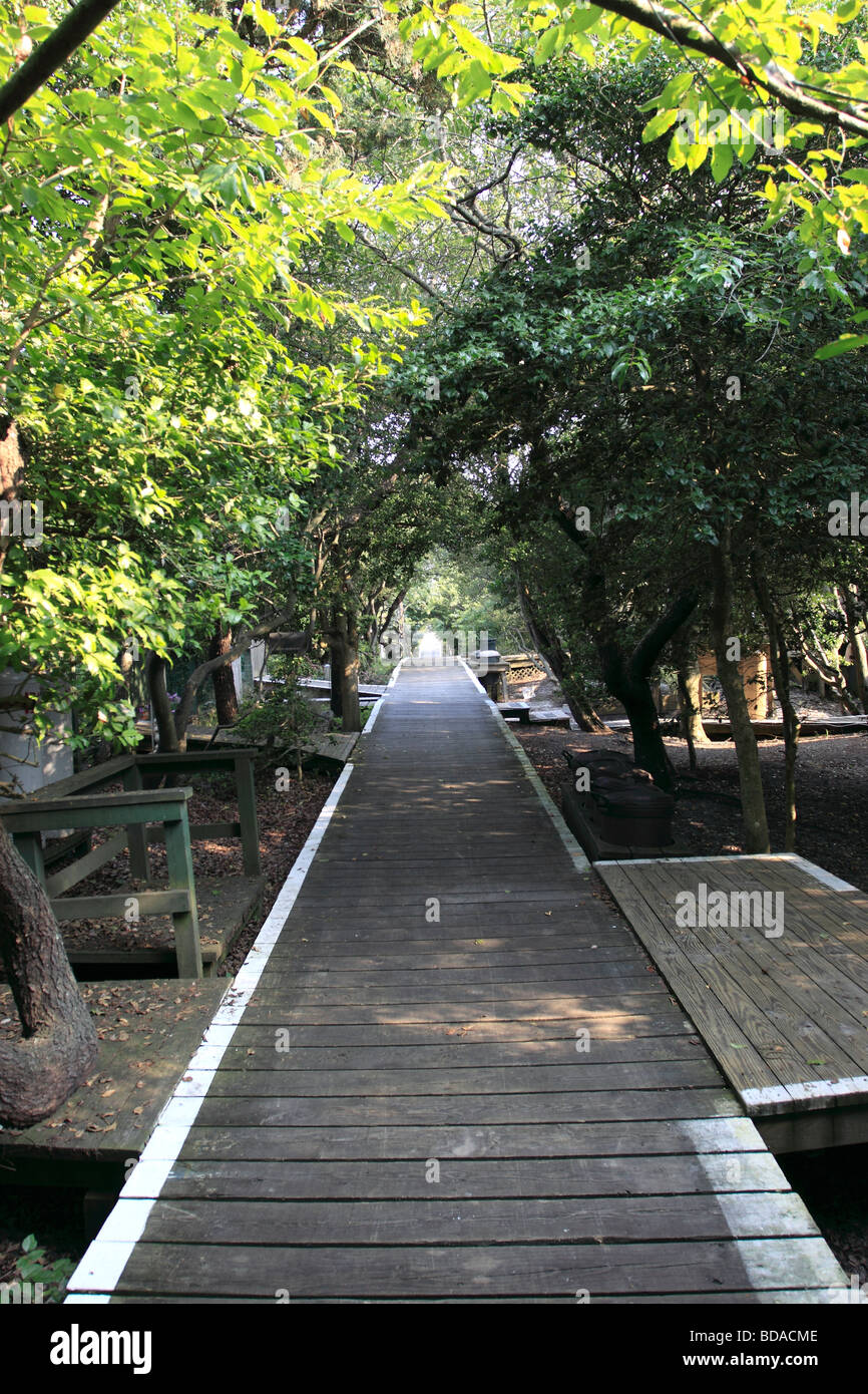 A typical street in Cherry Grove, Fire Island, a beach community on