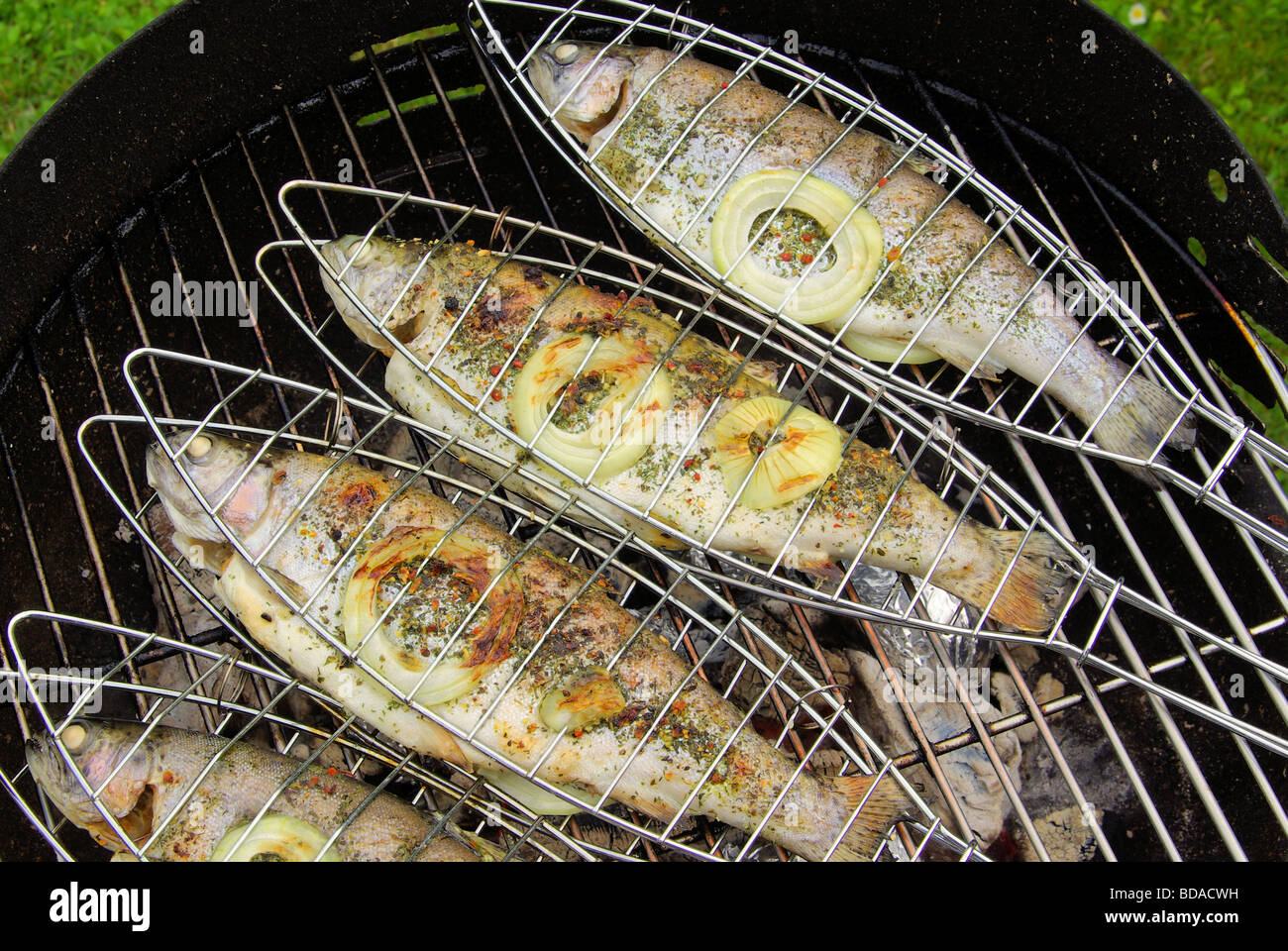 Grillen Forelle Grilling Trout 06 Stock Photo 25430541 Alamy