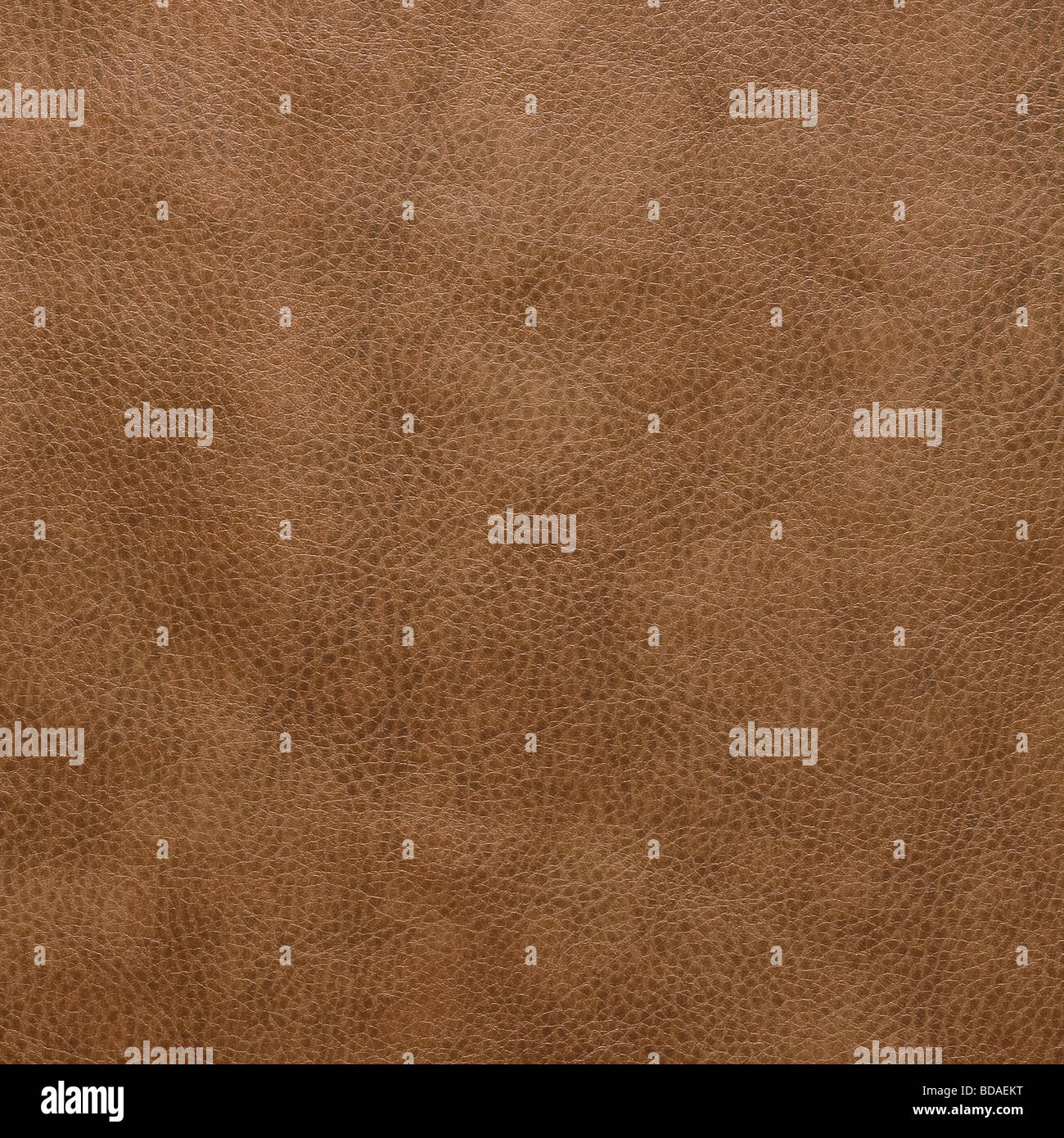 TAN BROWN LEATHER BACKGROUND Stock Photo