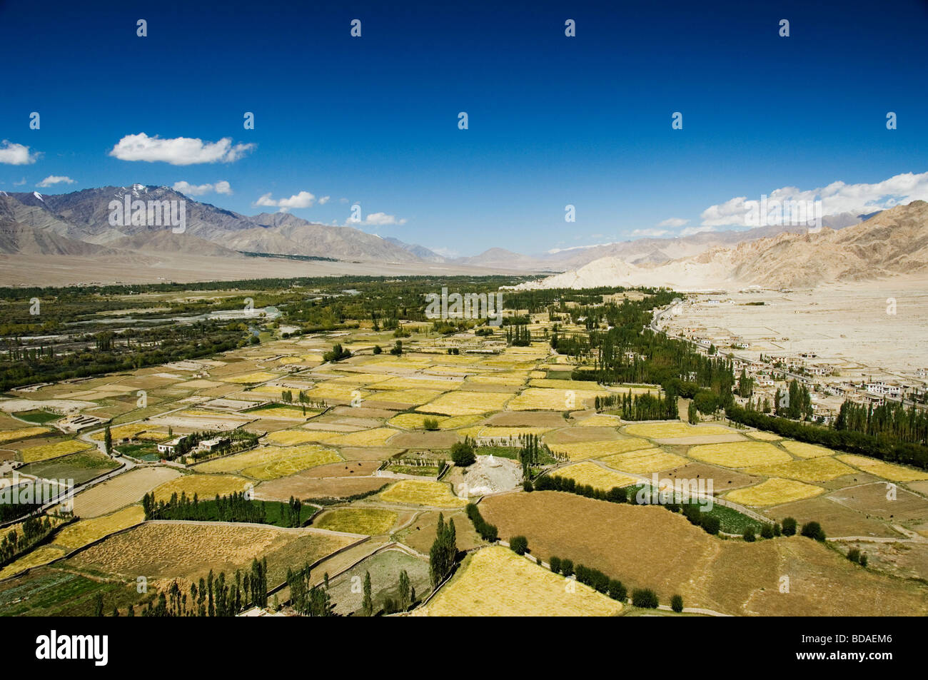 Panoramic view of a landscape, Ladakh, Jammu and Kashmir, India Stock Photo