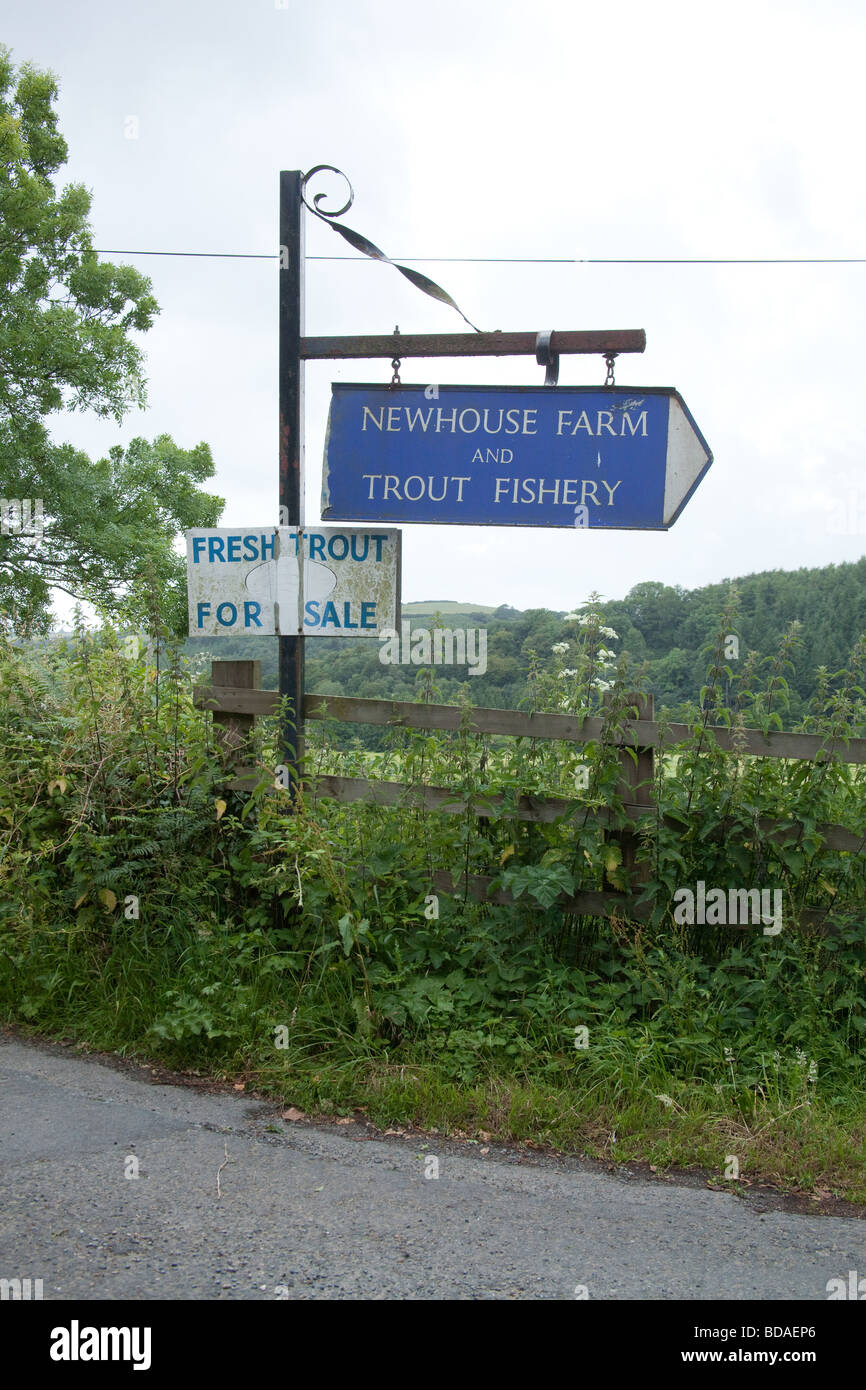 Sign for Newhouse farm trout Fisheries Devon England Stock Photo Alamy
