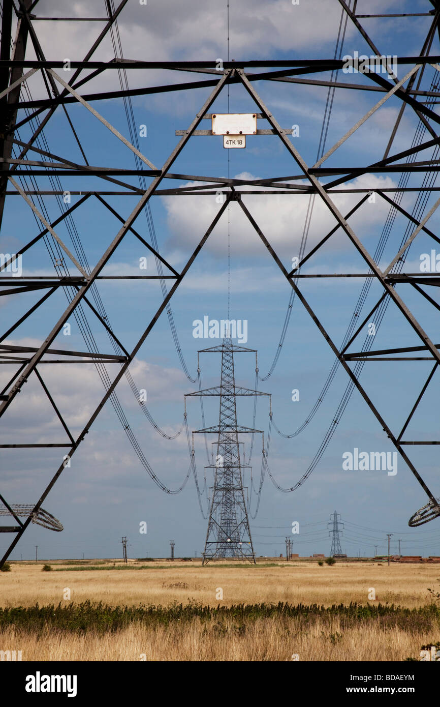Power pylons supplying electricity to Southern England. Energy