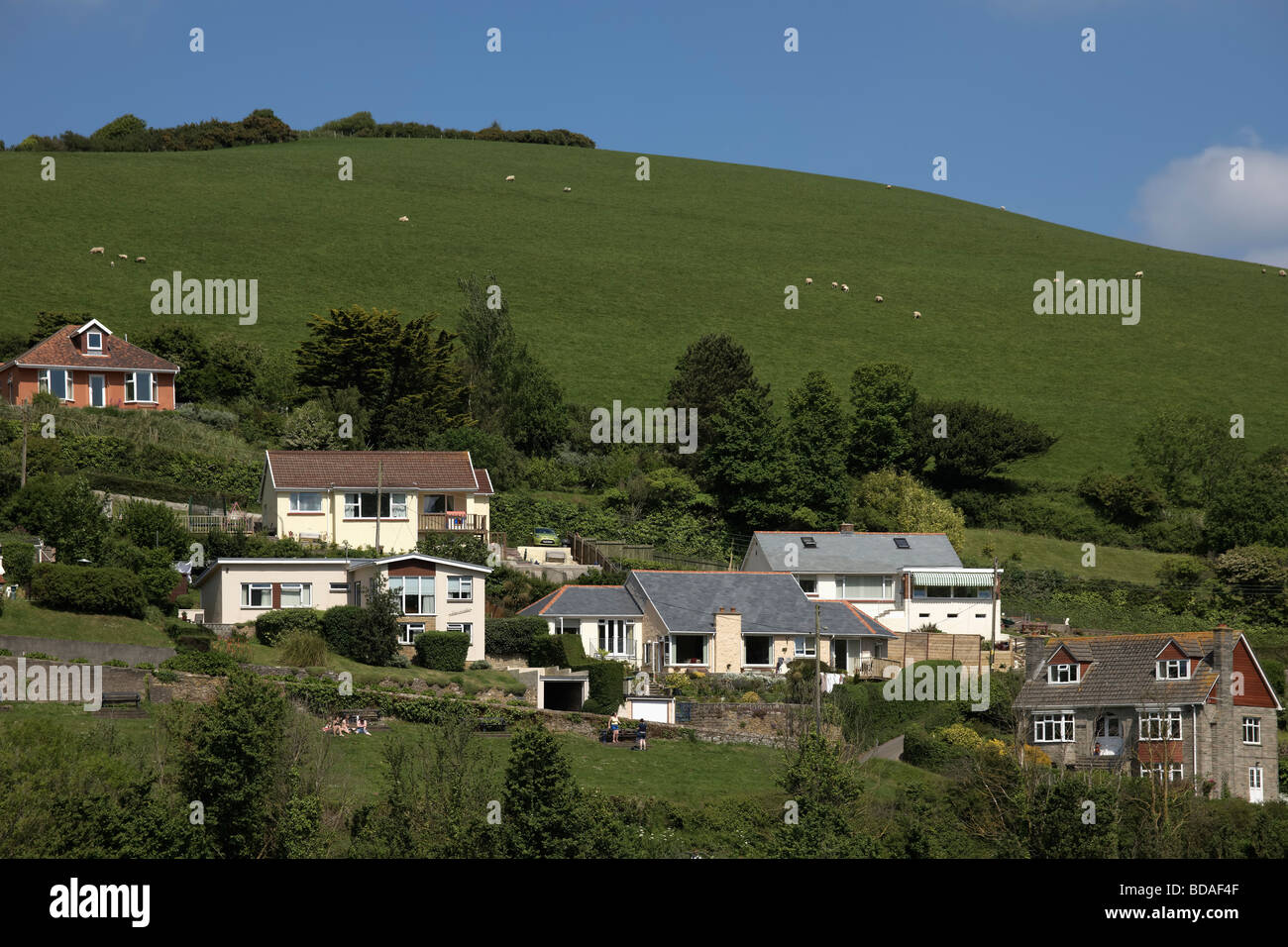 houses on cliffs combe martin devon Stock Photo Alamy