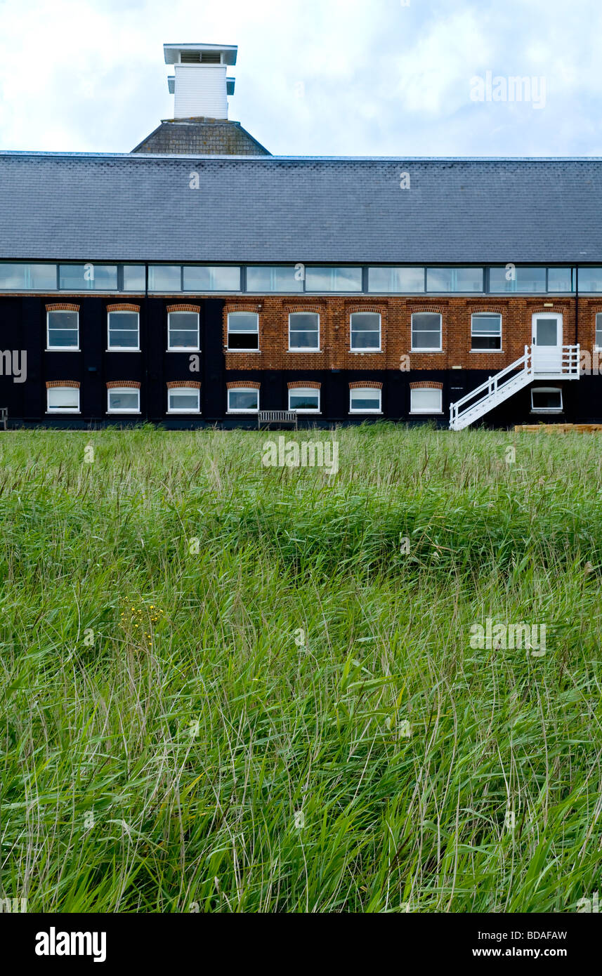 The Maltings at Snape, Suffolk, England, UK - a renowned music venue; showing a side elevation with reed beds in the foreground. Stock Photo