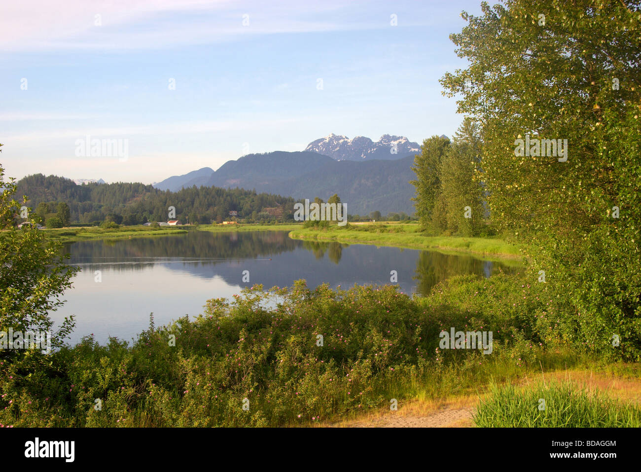 View of Allouette River in Pitt Meadows with the Golden Ears in the background Stock Photo
