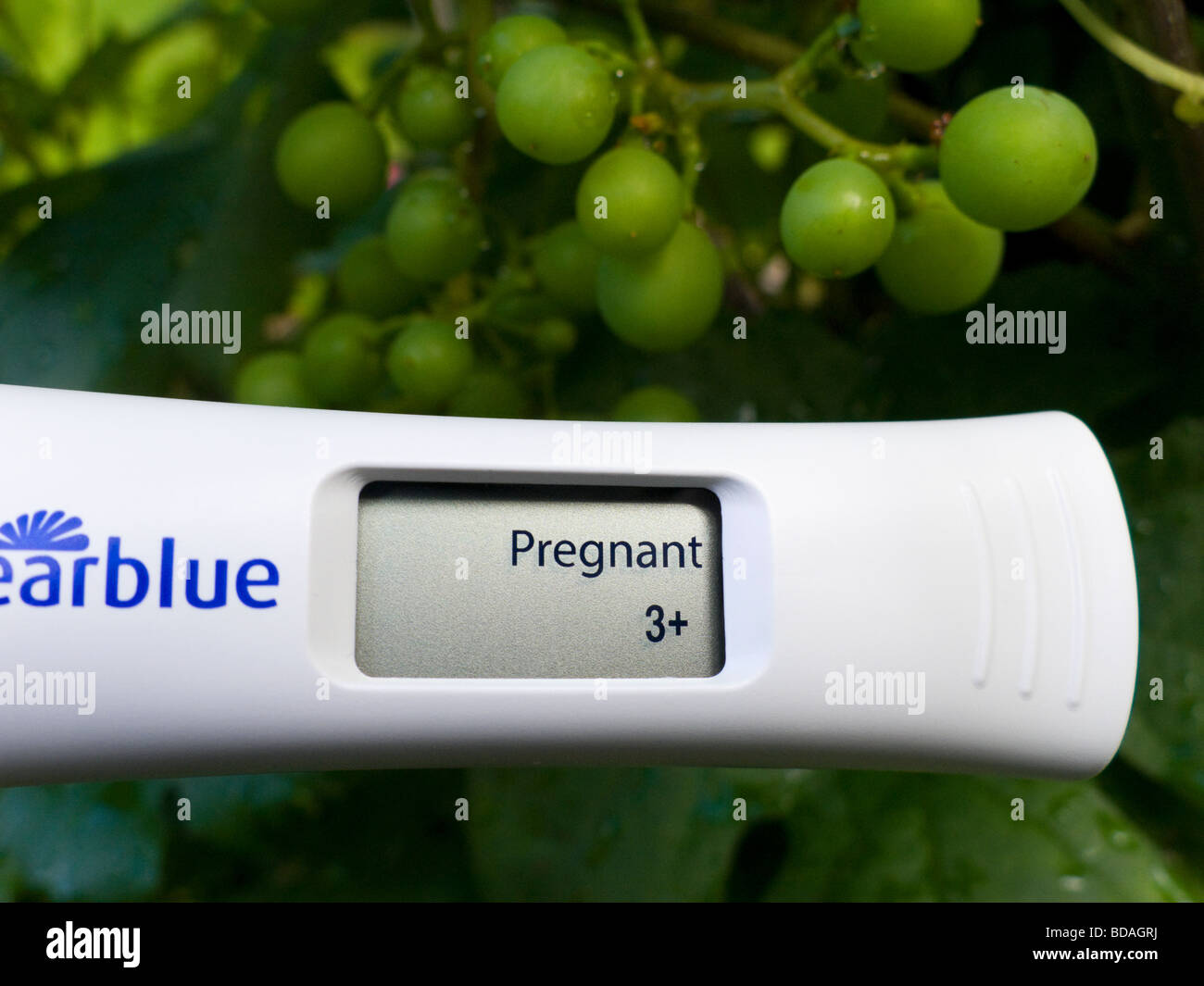 A pregnancy test device showing a positive pregnant result on the LCD display. (47) Stock Photo