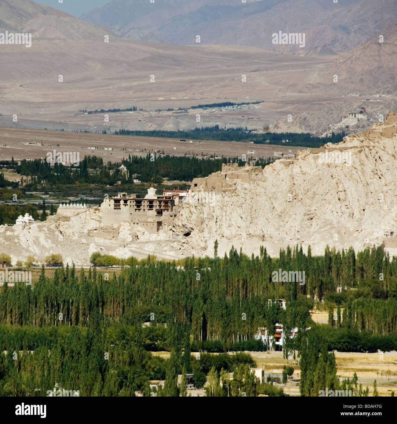 Trees in front of a palace, Shey Palace, Shey, Ladakh, Jammu and Kashmir, India Stock Photo