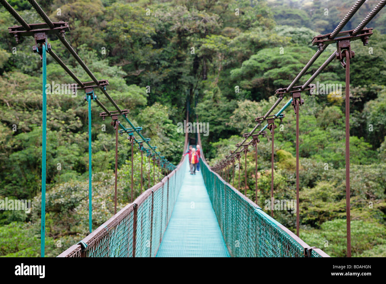 costa rica monteverde cloud forest national park tropical rain forest hikers along elevated sky walk central latin america Stock Photo