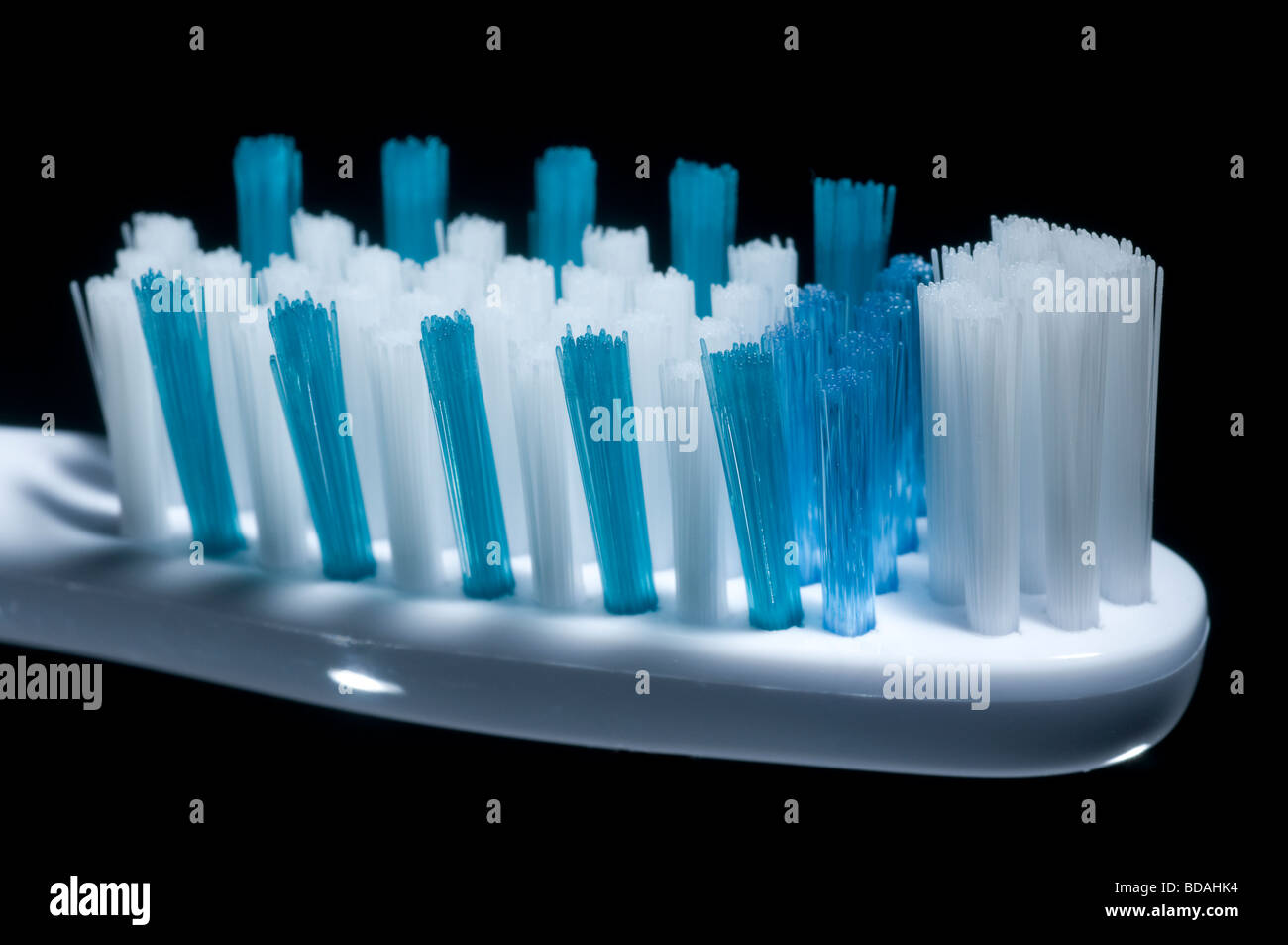 nylon bristles toothbrush
