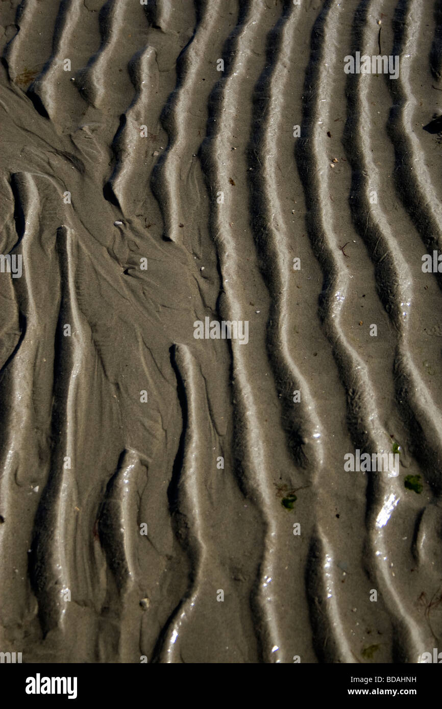 West Wittering beach. Stock Photo