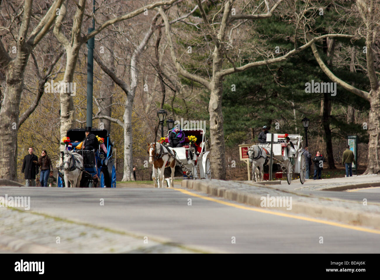 Romantic carriage rides in Central Park, New York City Stock Photo Alamy