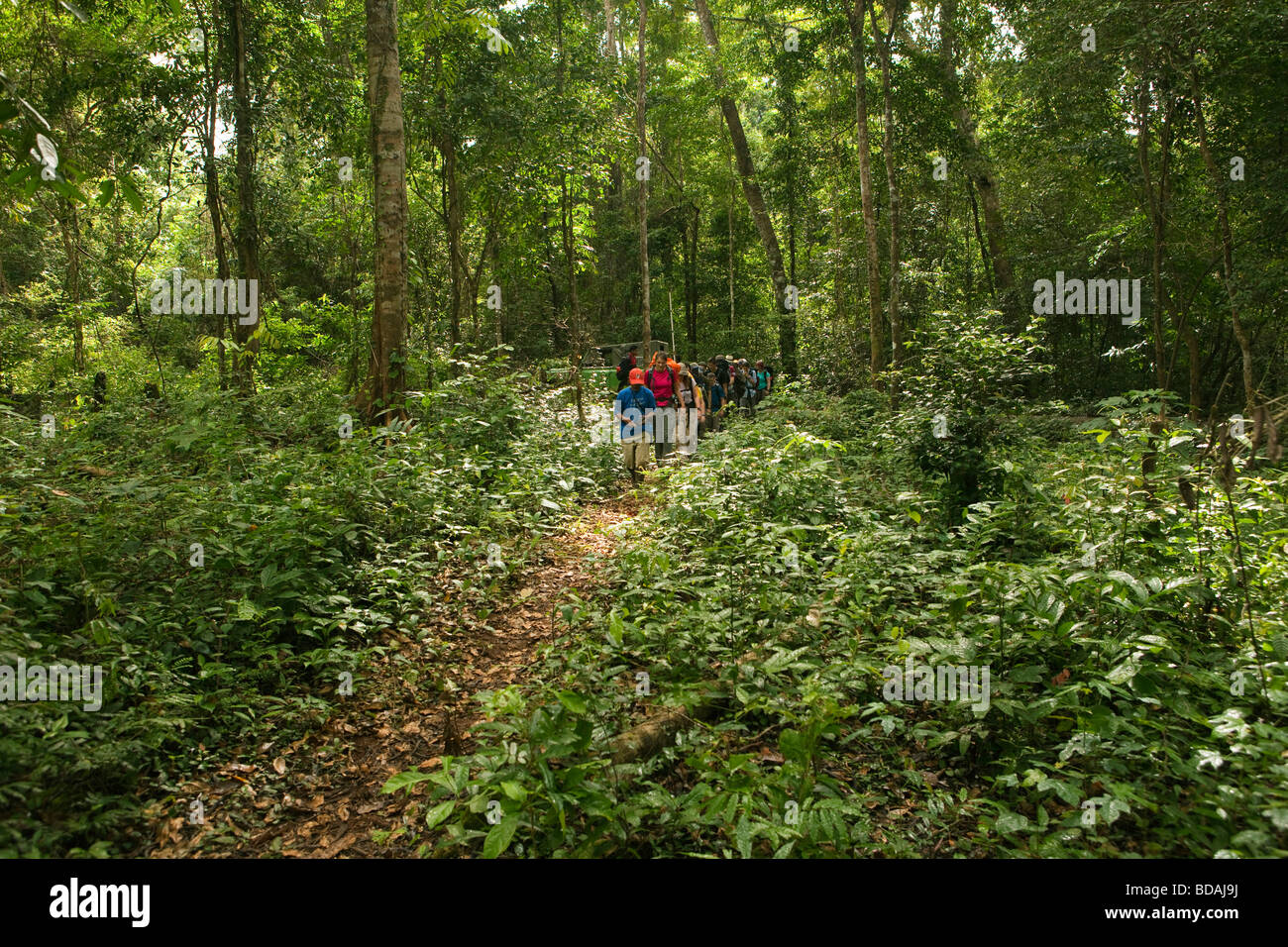 Indonesia Sulawesi Operation Wallacea sixth form students starting rainforest walk at forest fringe Stock Photo