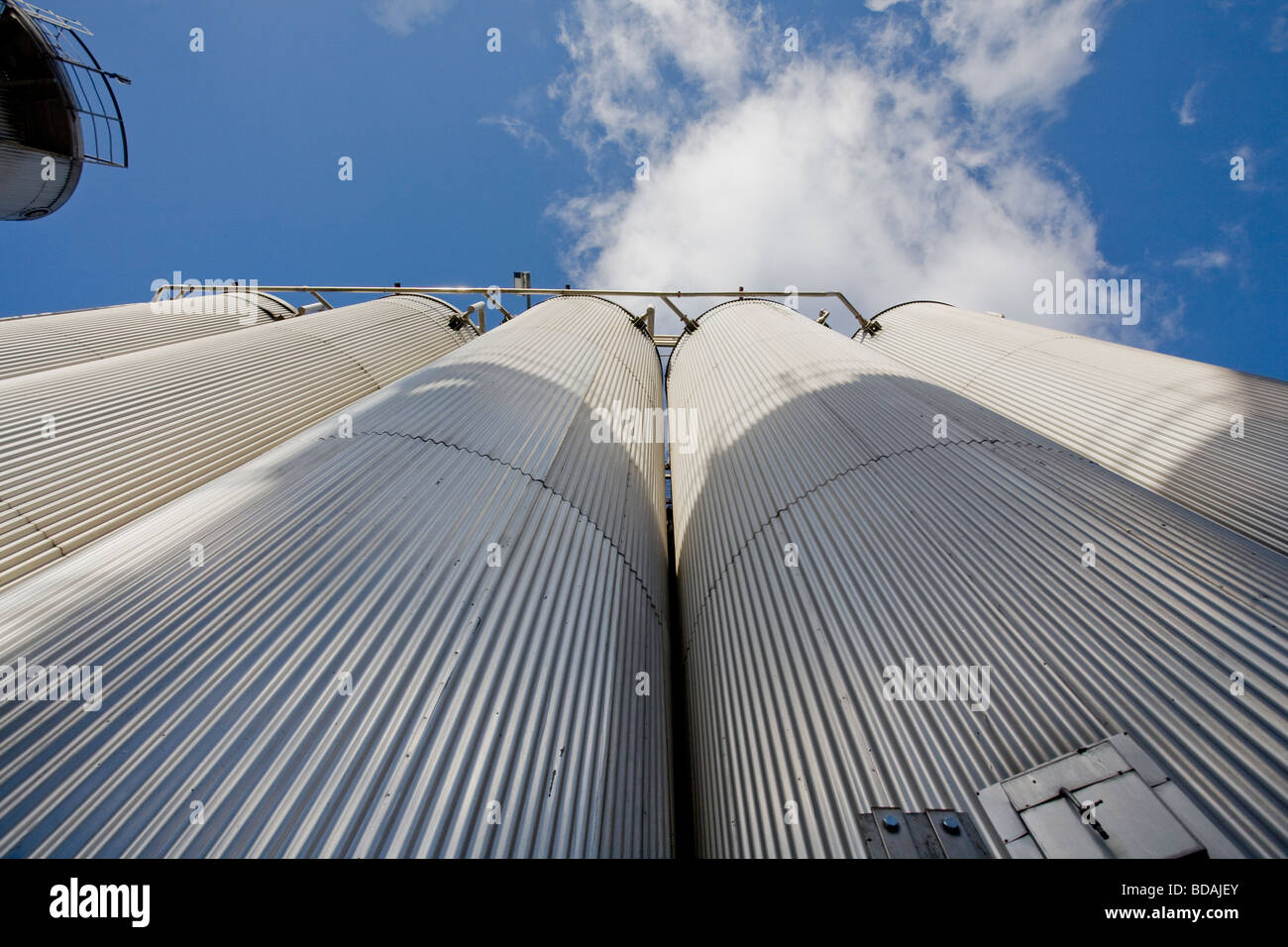 Looking up at the towers of Syral UK s syrup enzyme farm Stock Photo