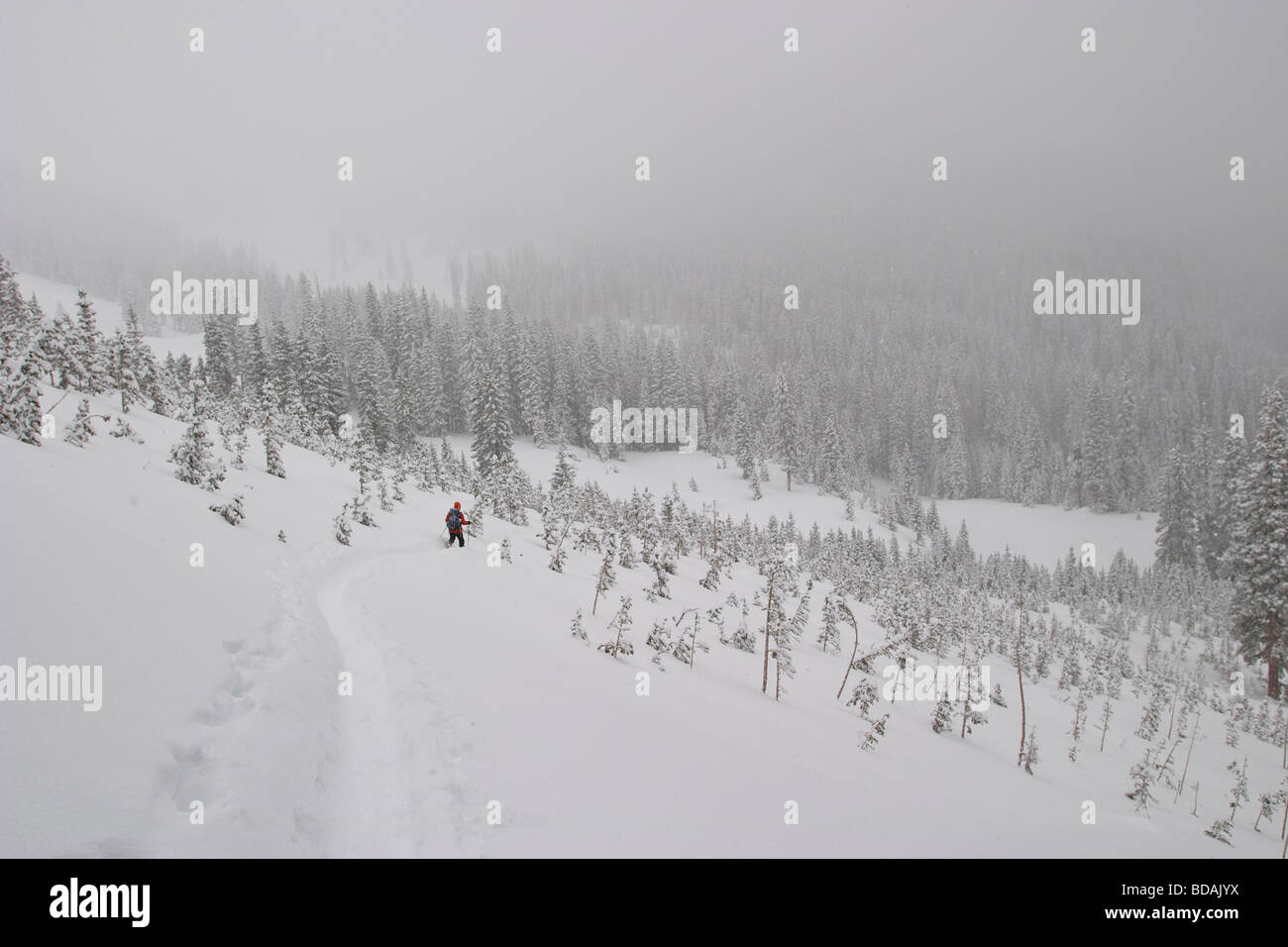 Skiers on a winter ski tour in the San Juan Mountains of SW Colorado near Telluride, Colorado. Stock Photo