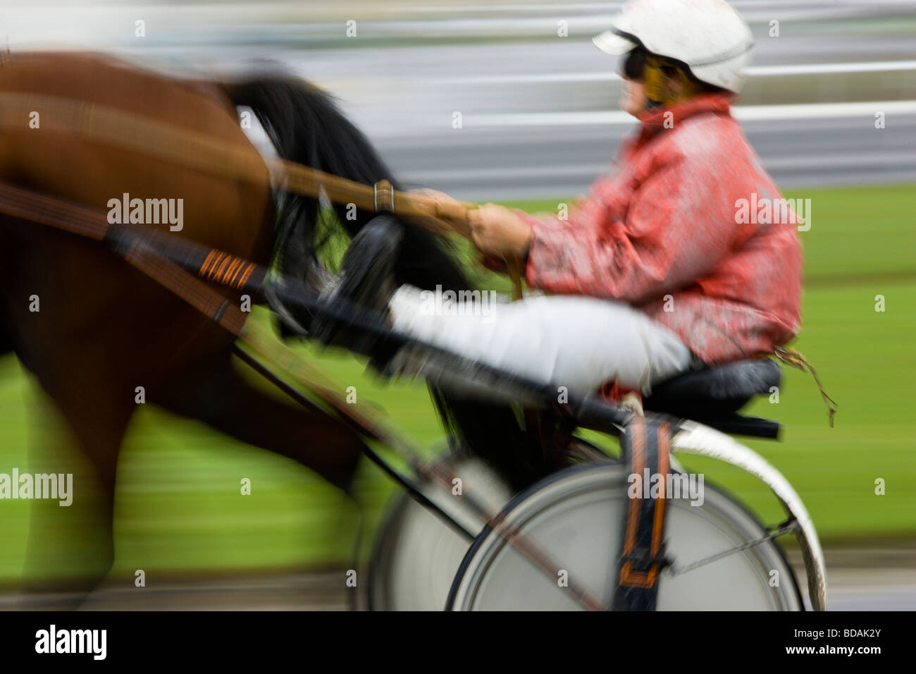 Horse cart racing america hires stock photography and images Alamy