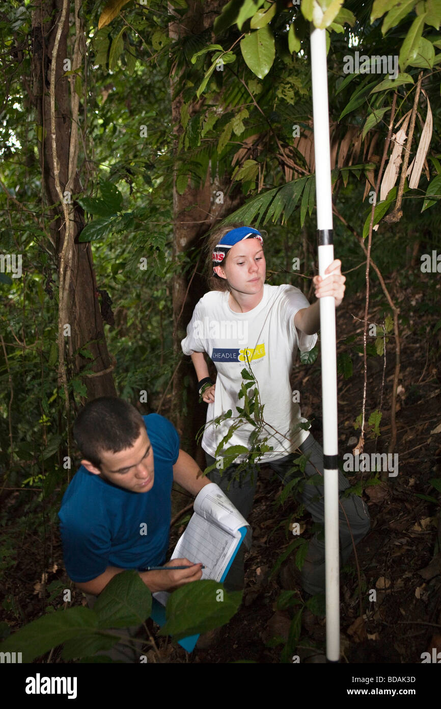 Indonesia Sulawesi Operation Wallacea sixth form students researching rainforest growth data Stock Photo