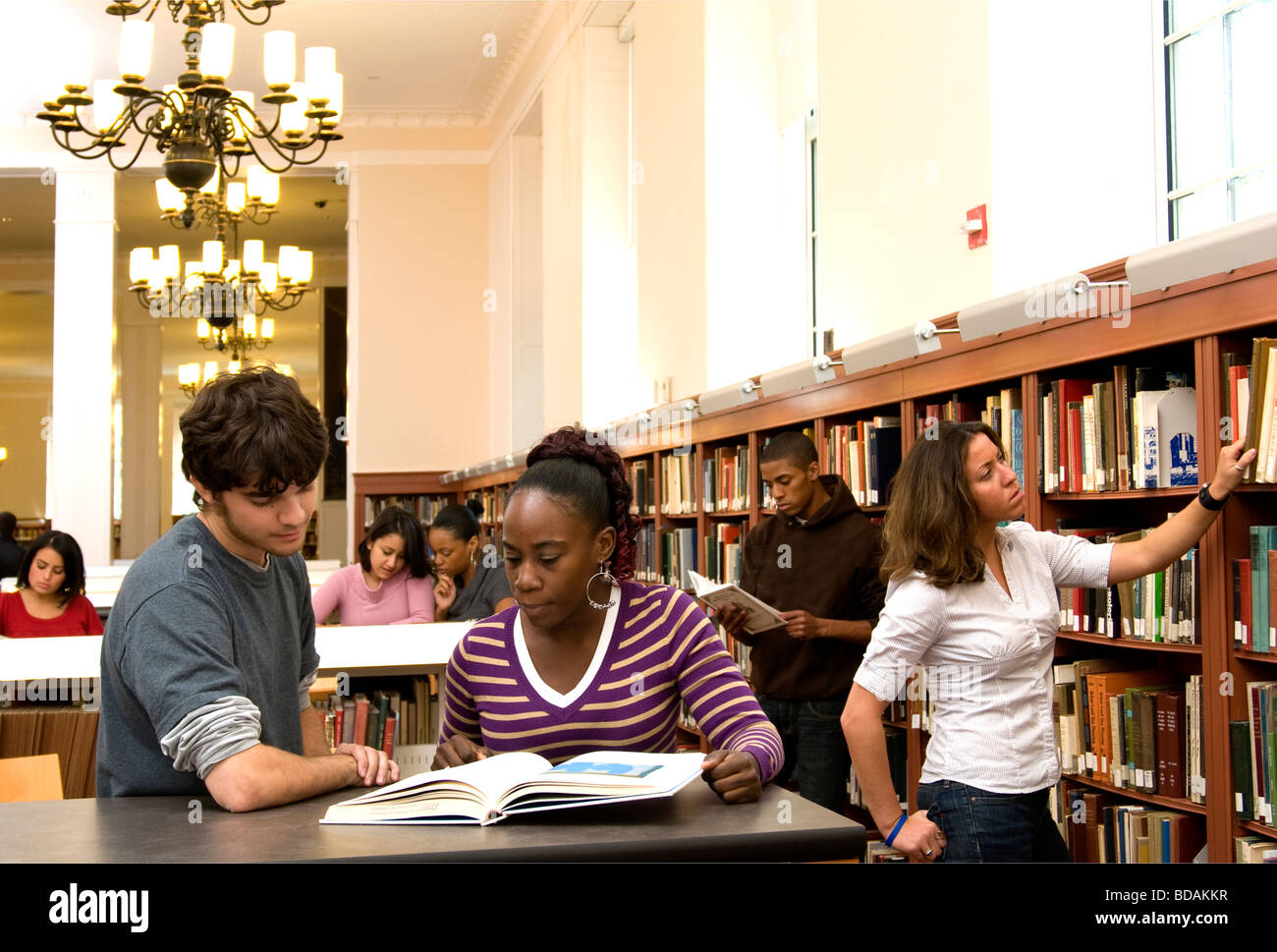 Group of ethnically diverse students studying in the library Stock Photo