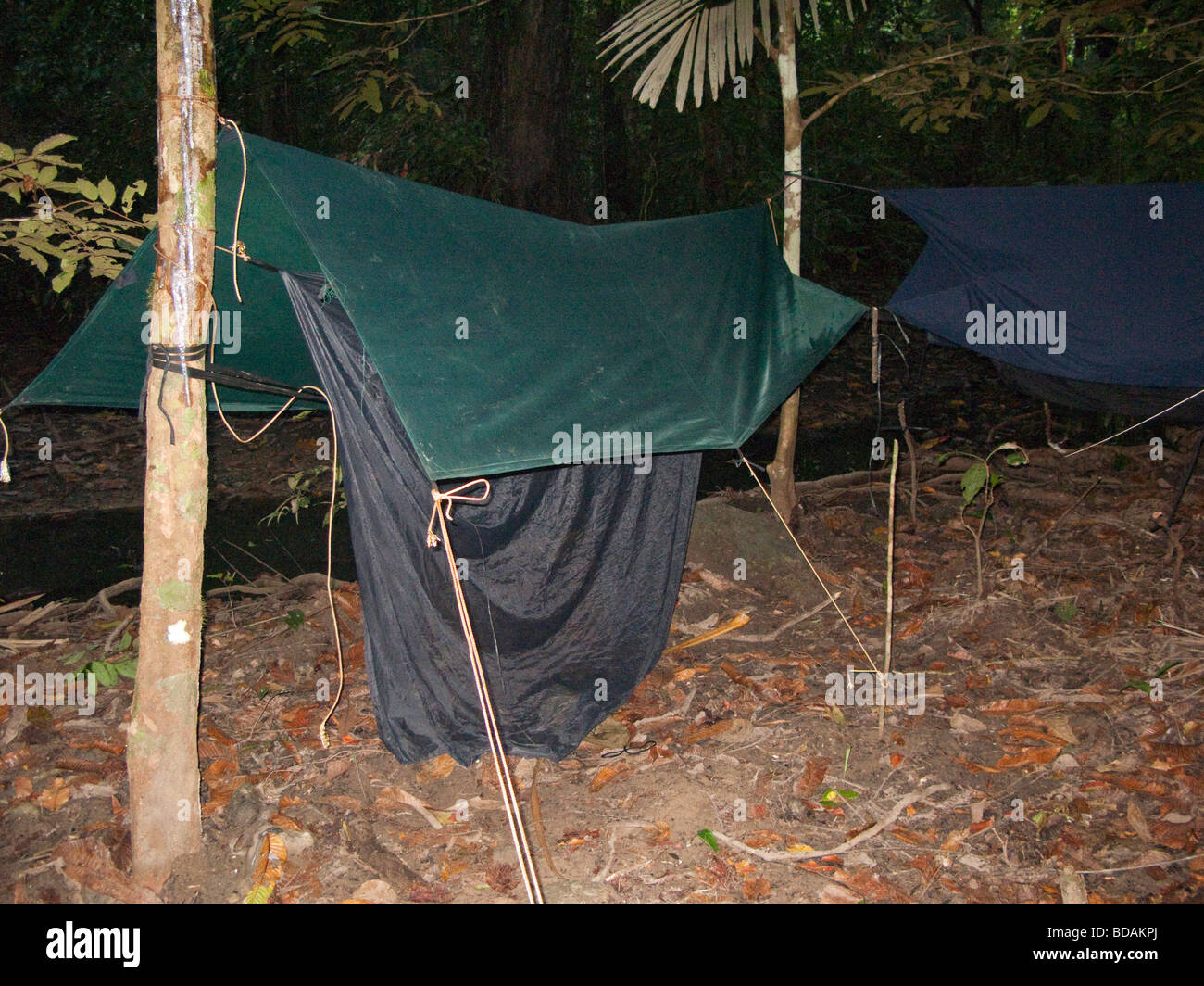 Indonesia Sulawesi Operation Wallacea Labundo Bundo La Pago forest base camp basha for overnight camping Stock Photo