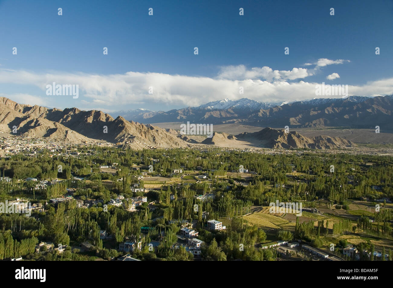 Town in front of a mountain range, Himalayas, Leh, Ladakh, Jammu and Kashmir, India Stock Photo