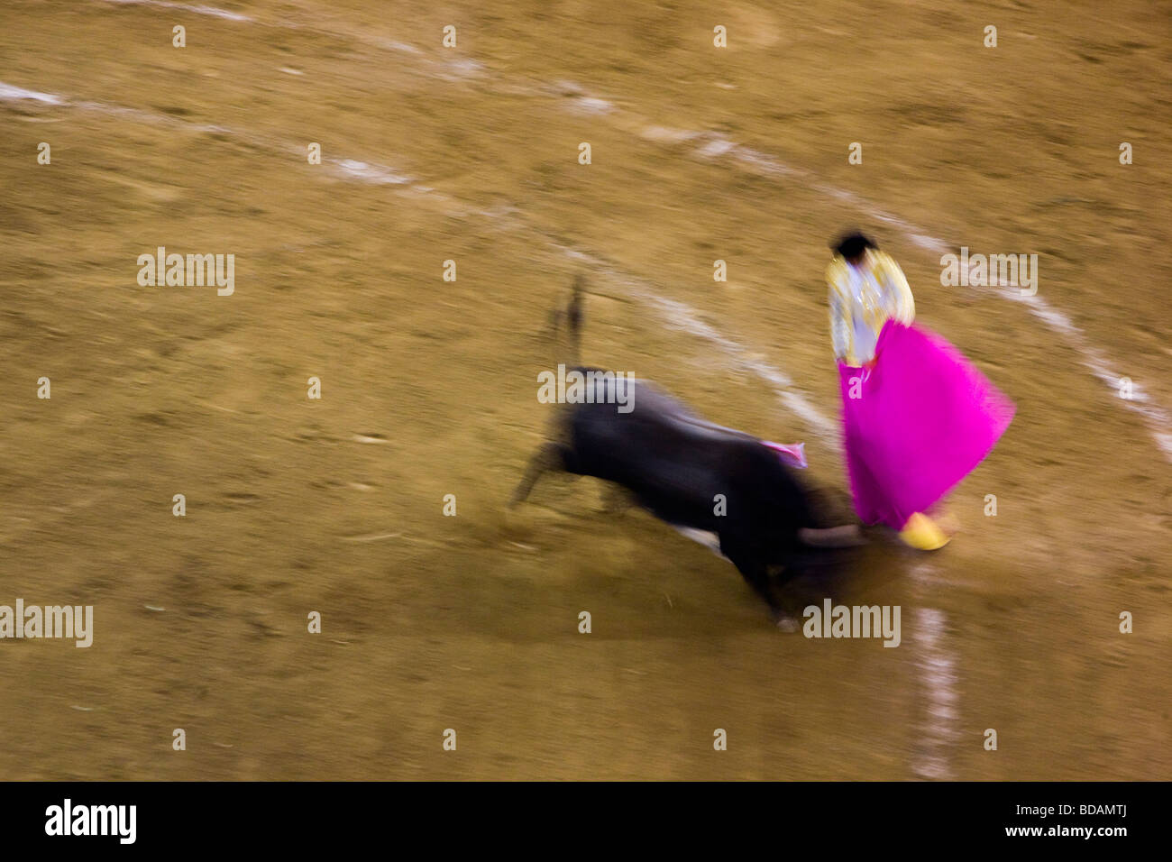 A bull charges the cape of a bullfighter at the Plaza de Toros in Morelia, Mexico. Stock Photo