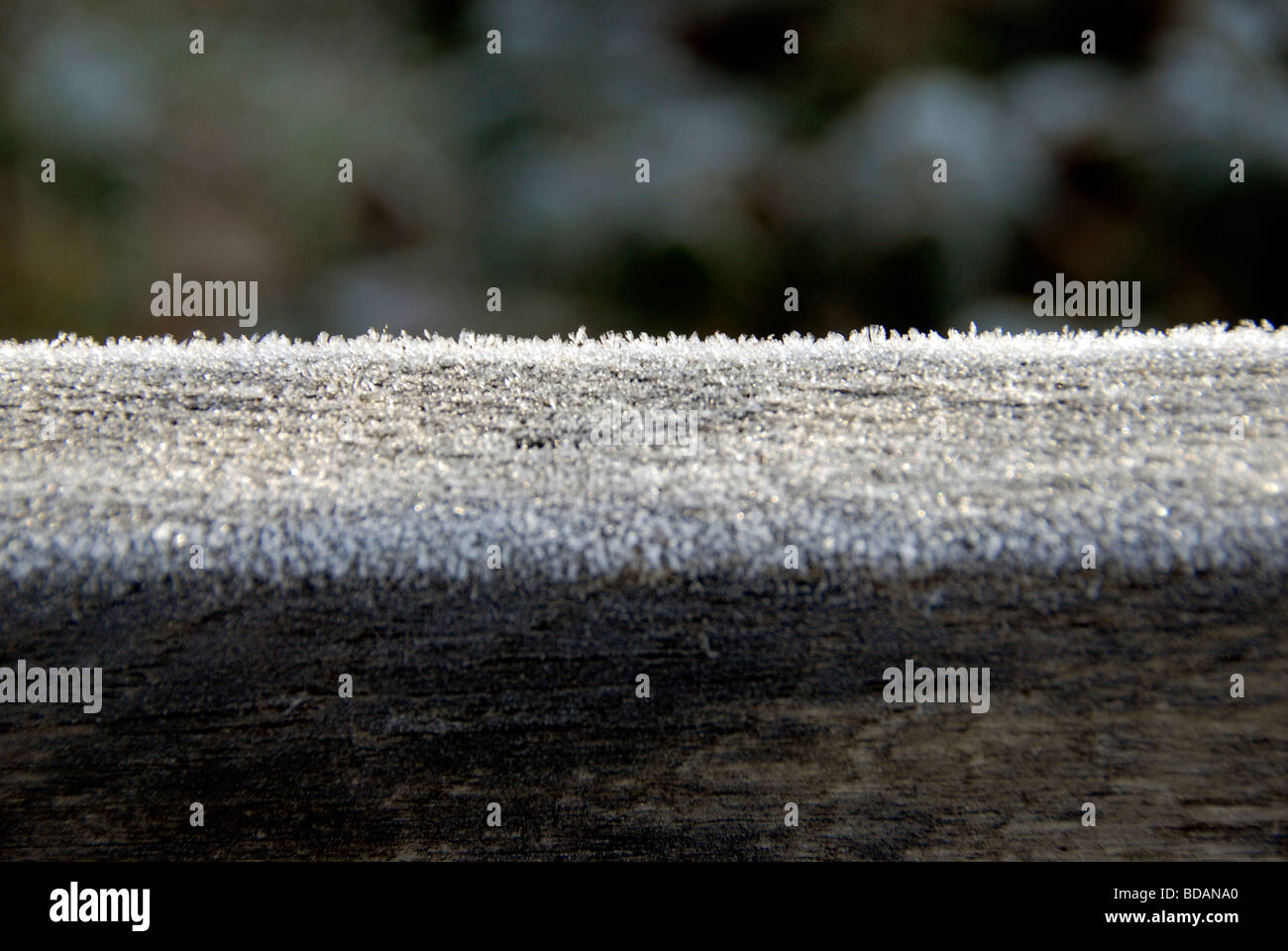 Sussex winter frost hi-res stock photography and images - Alamy