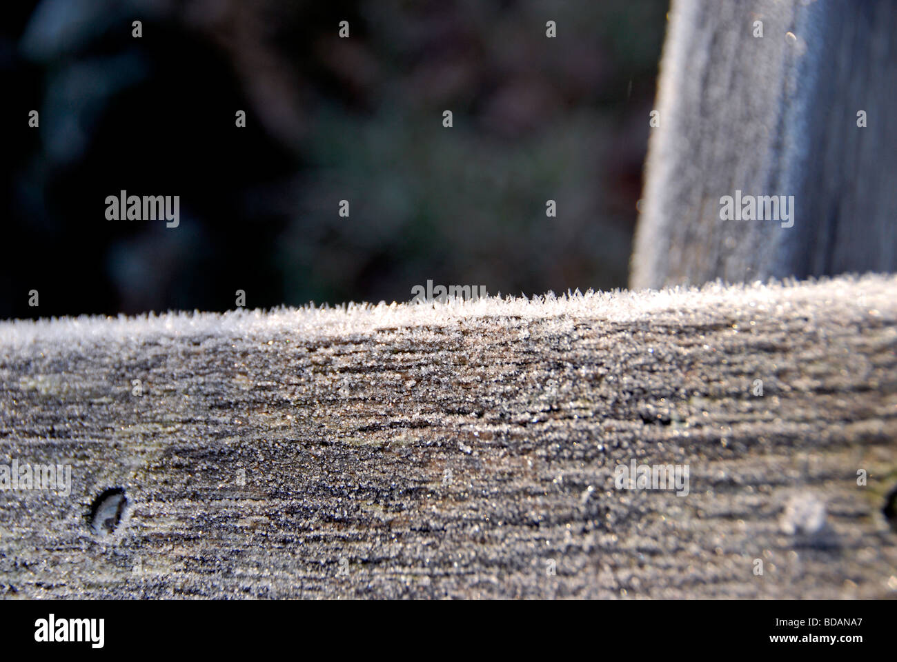 Sussex winter frost hi-res stock photography and images - Alamy