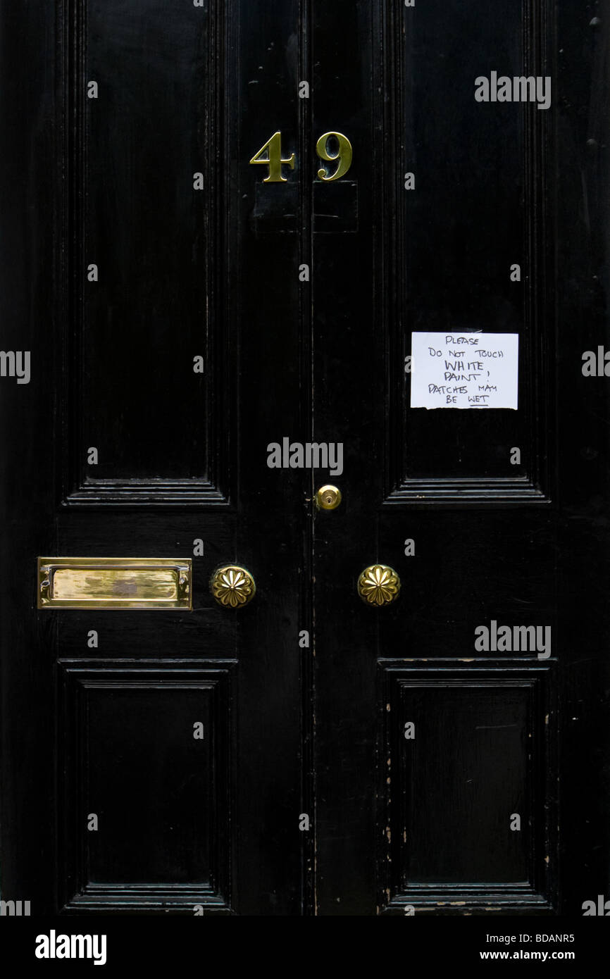 A door with brass letterbox and handle Stock Photo Alamy