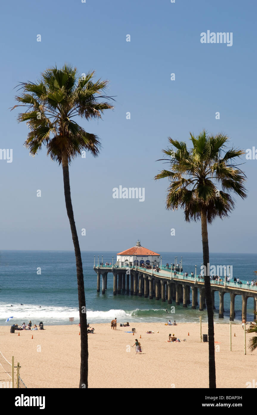 Palm trees and Manhattan Beach Pier Stock Photo Alamy