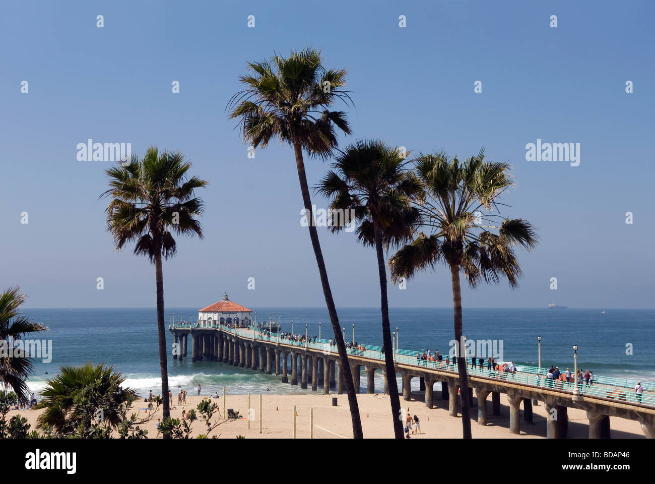 Palm trees and Manhattan Beach Pier Stock Photo - Alamy