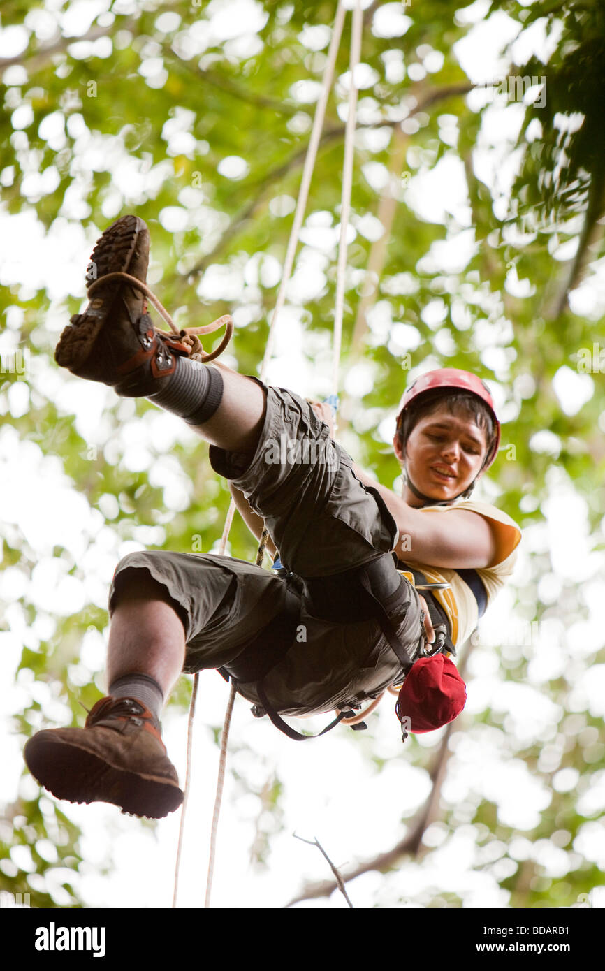 Indonesia Sulawesi Operation Wallacea Lambusango forest reserve canopy access student high in tree Stock Photo